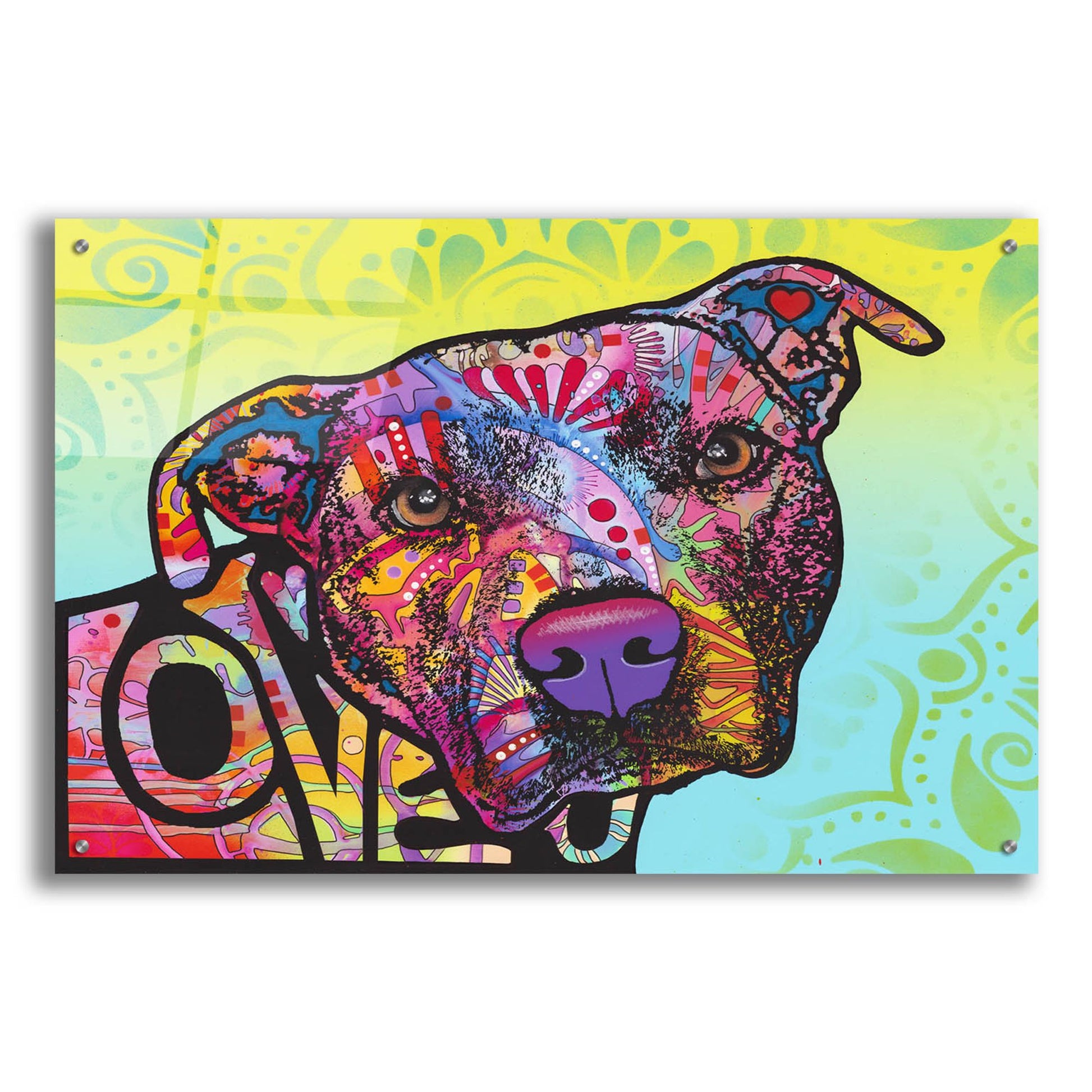 Epic Art 'Love You Pit Bull' by Dean Russo Studios, Acrylic Glass Wall Art,36x24