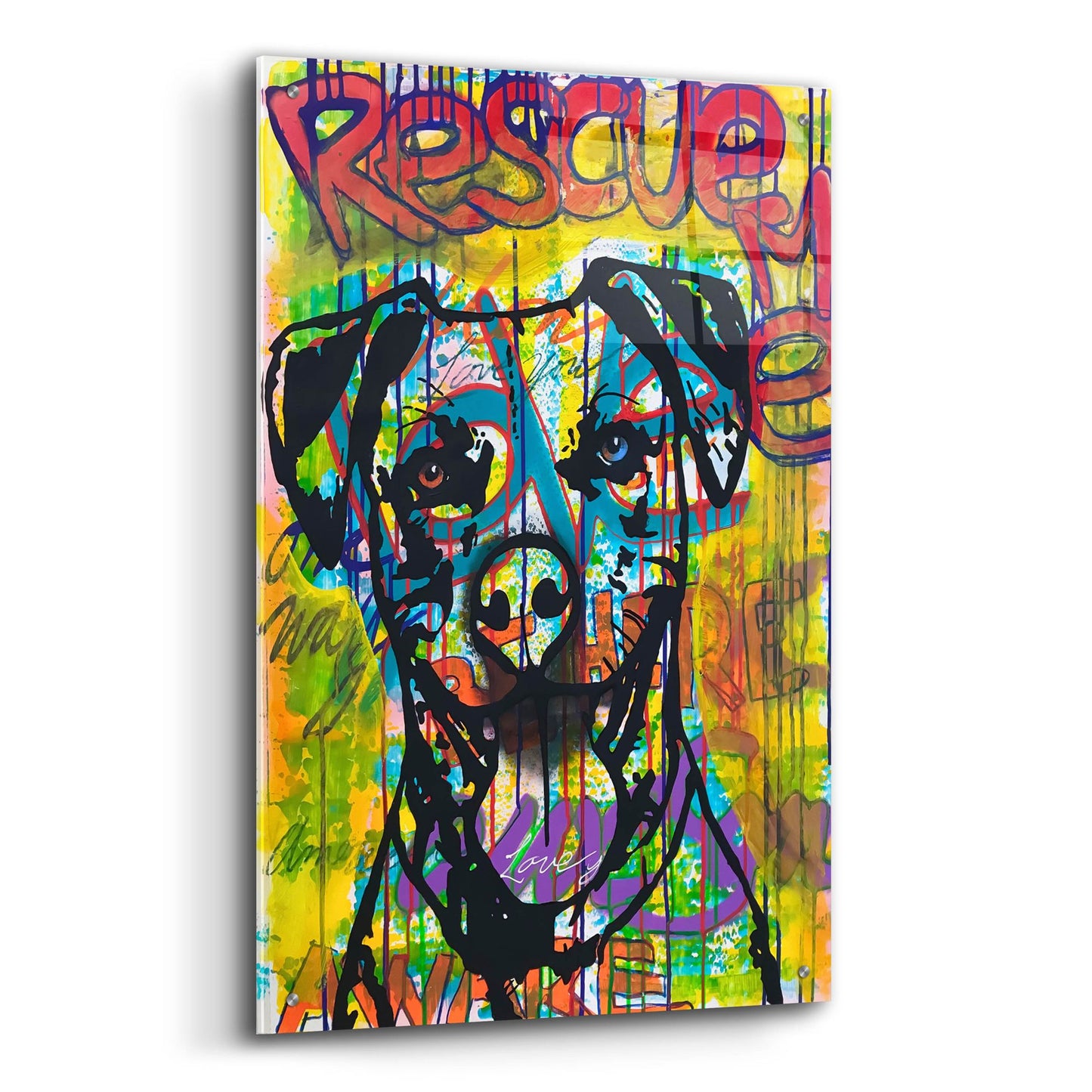 Epic Art 'Rescue Me' by Dean Russo Studios, Acrylic Glass Wall Art,24x36