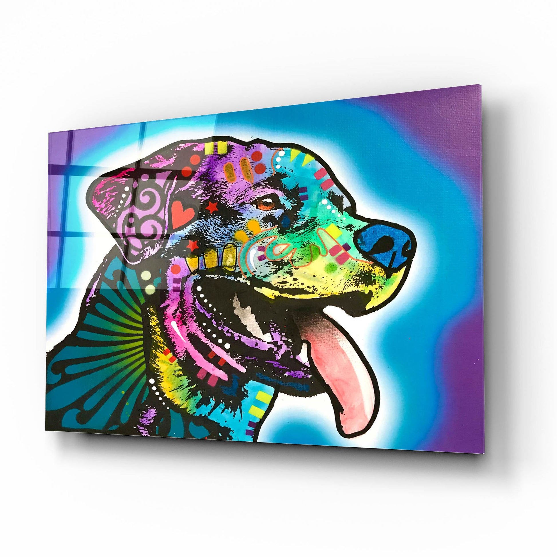 Epic Art 'Spoiled Rottie' by Dean Russo Studios, Acrylic Glass Wall Art,16x12