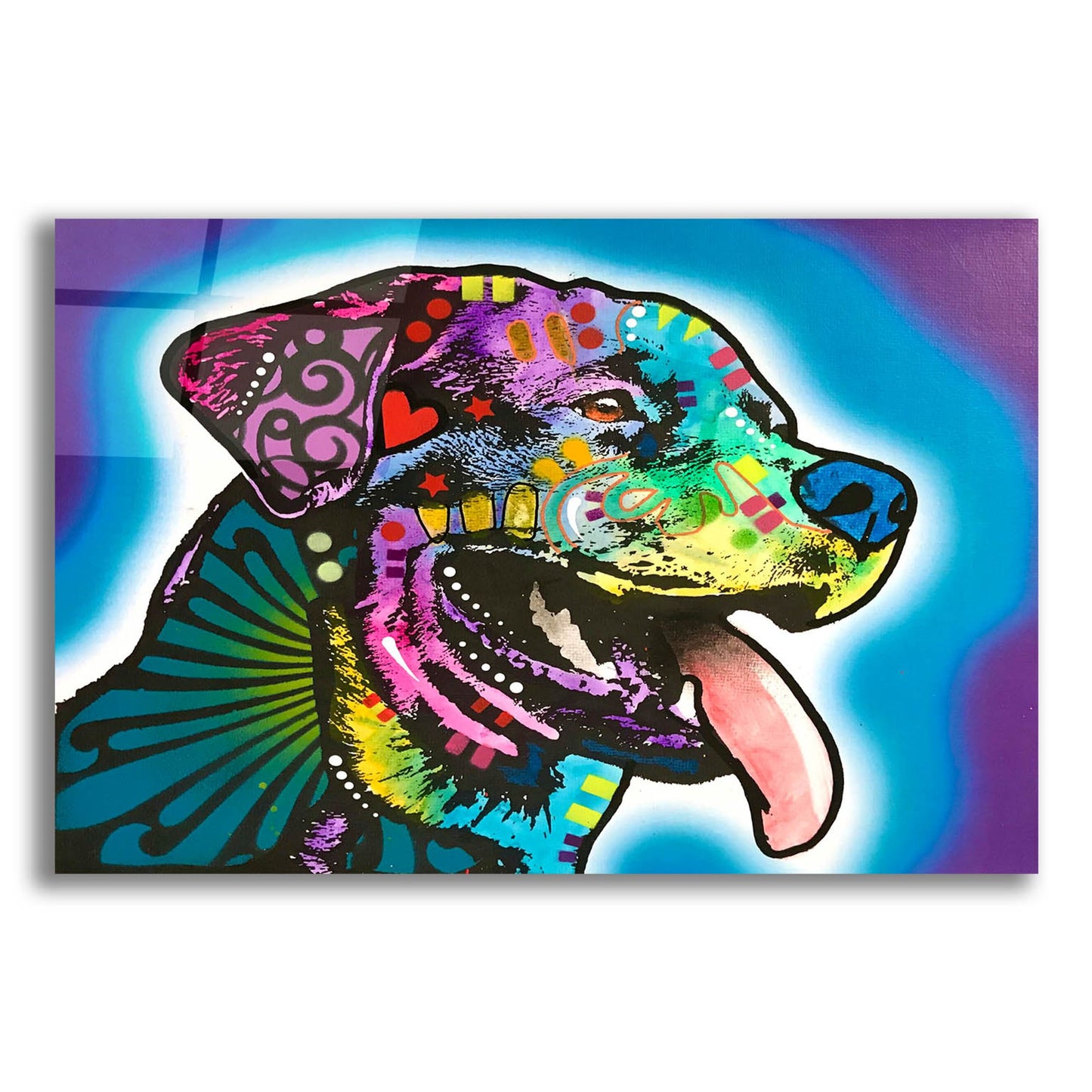 Epic Art 'Spoiled Rottie' by Dean Russo Studios, Acrylic Glass Wall Art,16x12