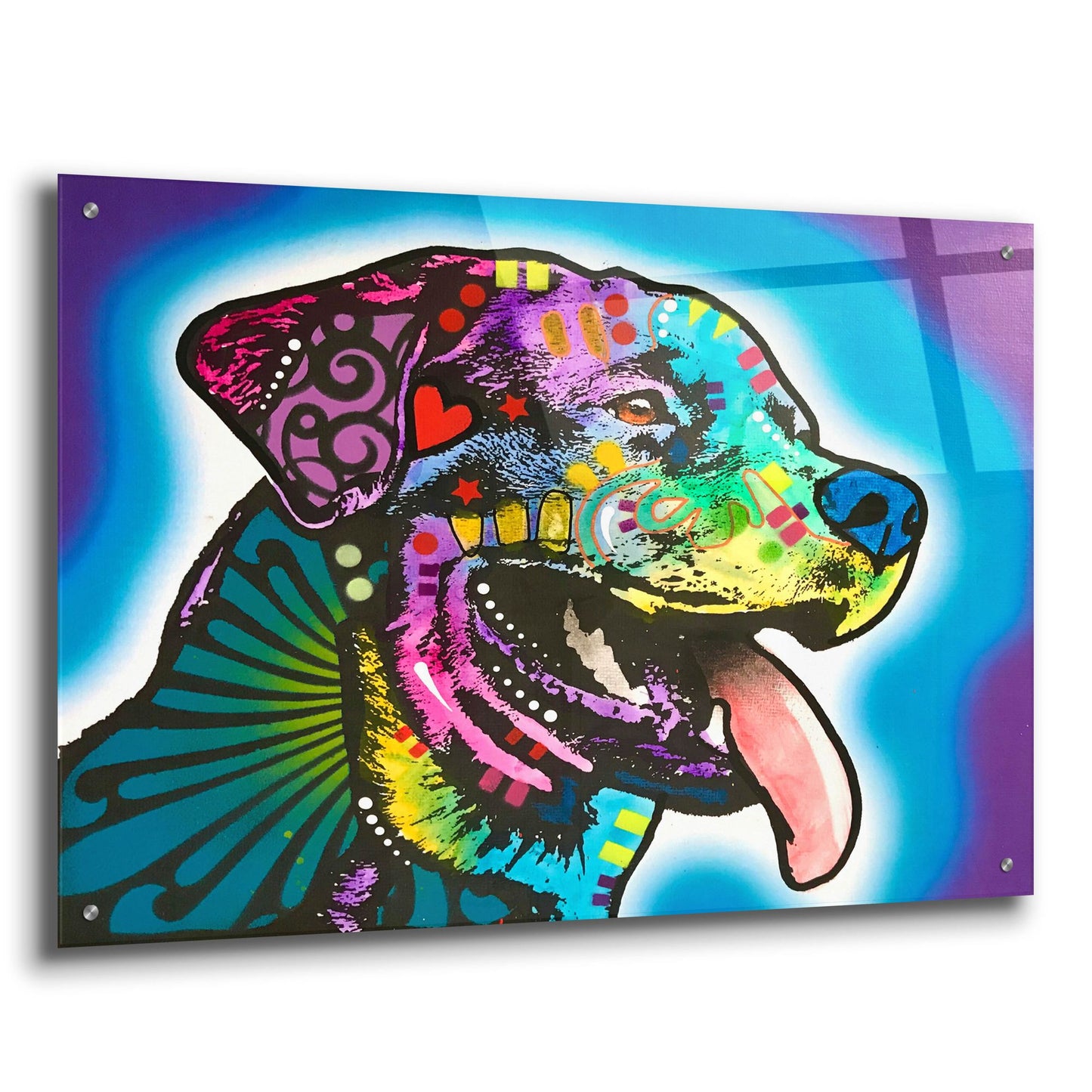 Epic Art 'Spoiled Rottie' by Dean Russo Studios, Acrylic Glass Wall Art,36x24