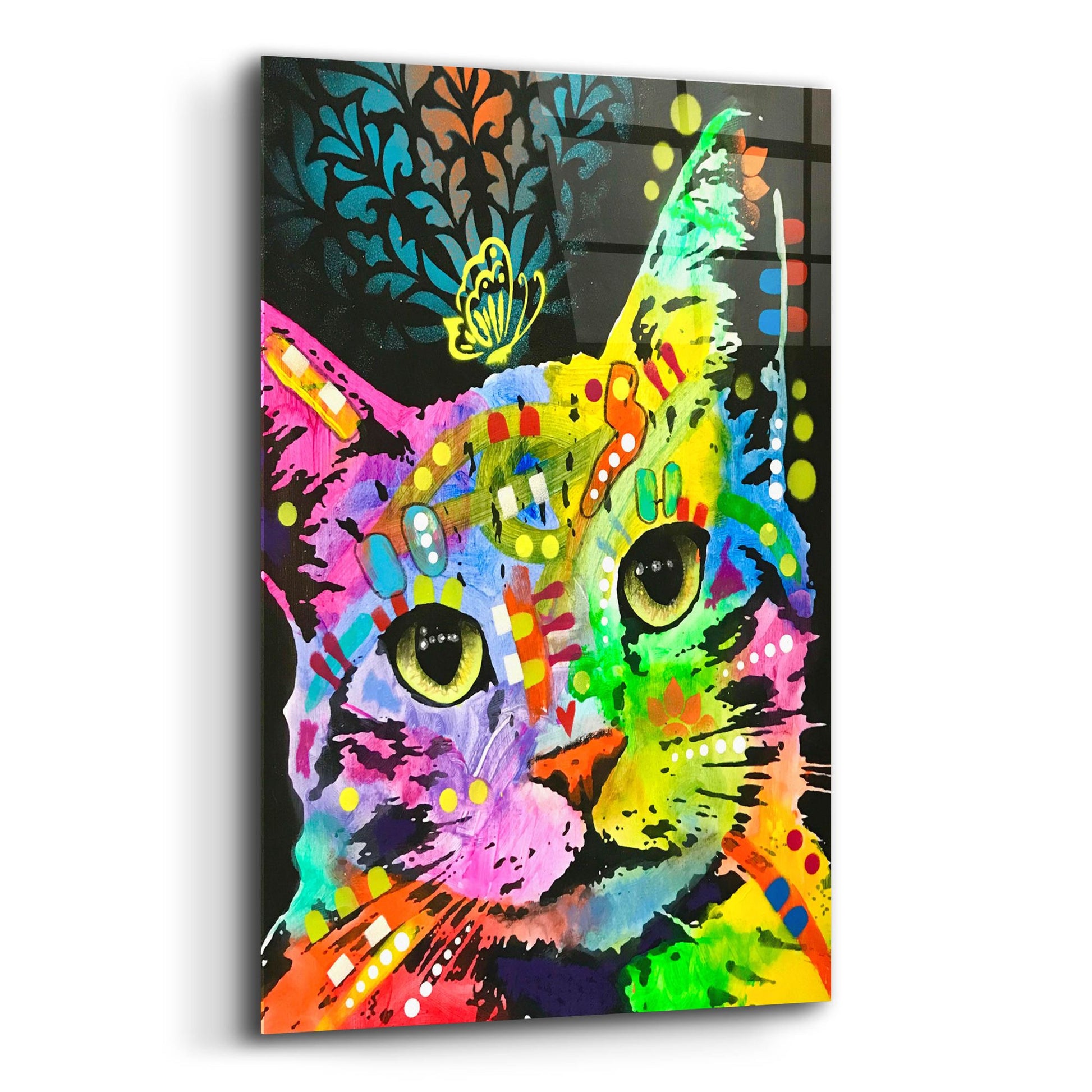 Epic Art 'Tilt Cat Butterfly' by Dean Russo Studios, Acrylic Glass Wall Art,12x16