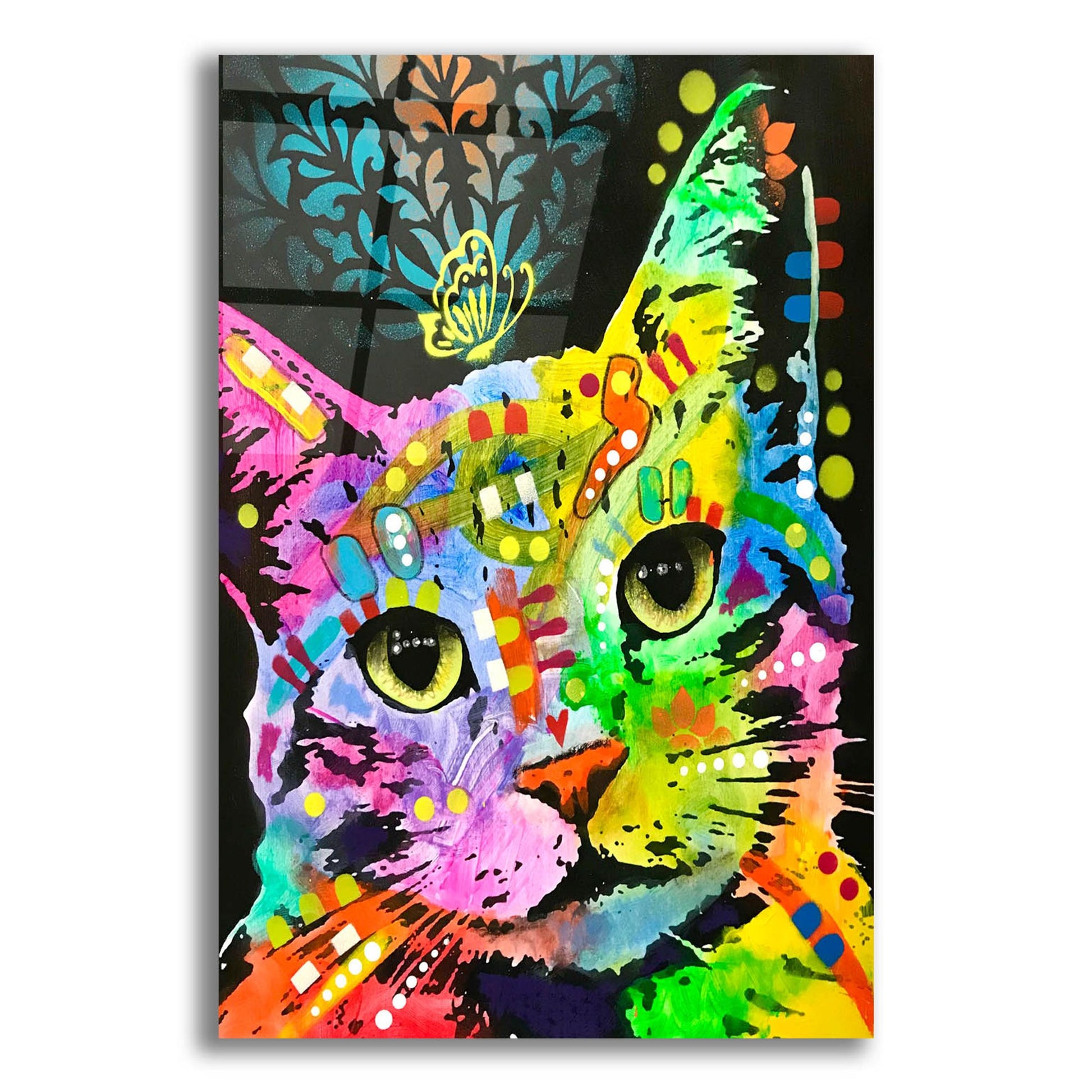 Epic Art 'Tilt Cat Butterfly' by Dean Russo Studios, Acrylic Glass Wall Art,12x16