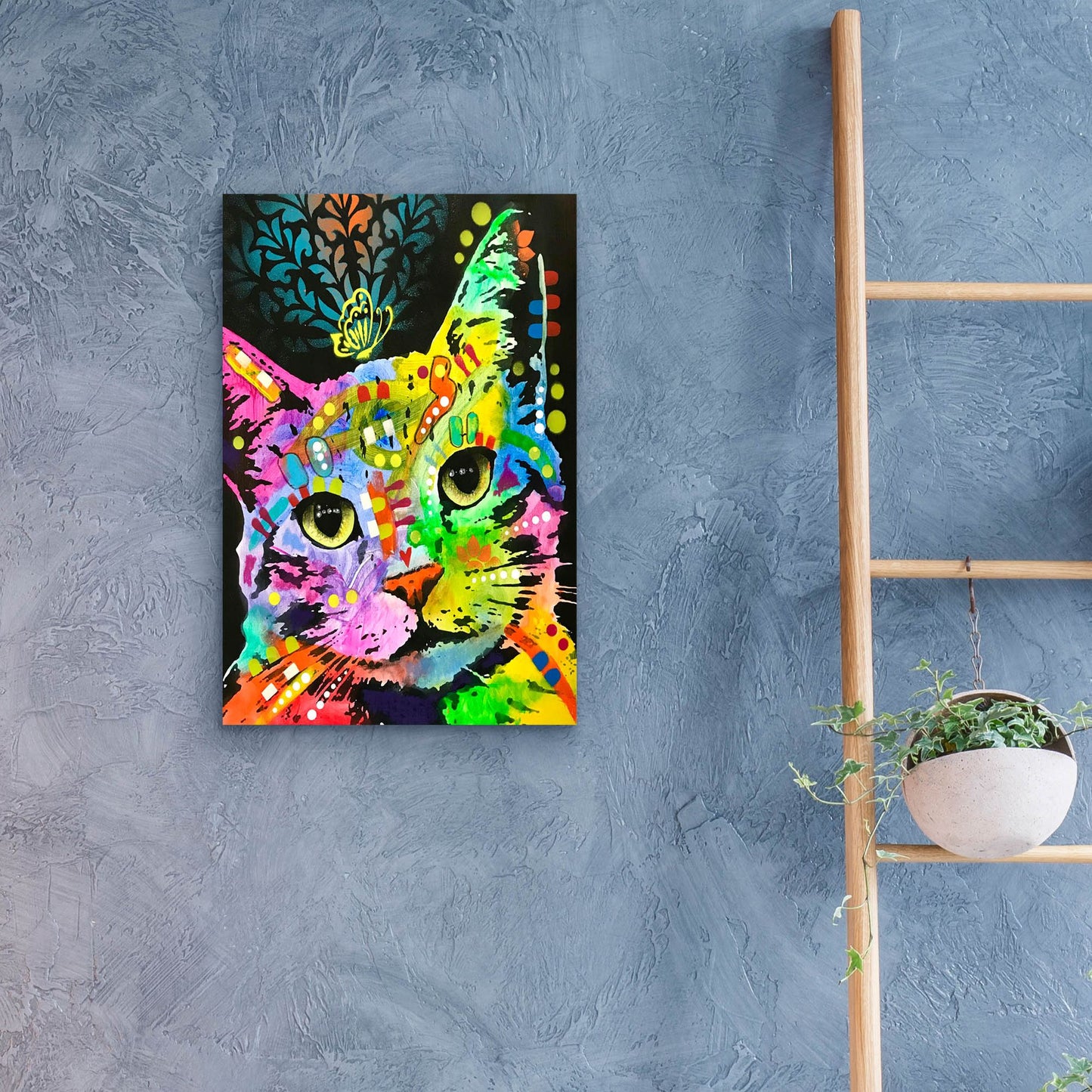 Epic Art 'Tilt Cat Butterfly' by Dean Russo Studios, Acrylic Glass Wall Art,16x24