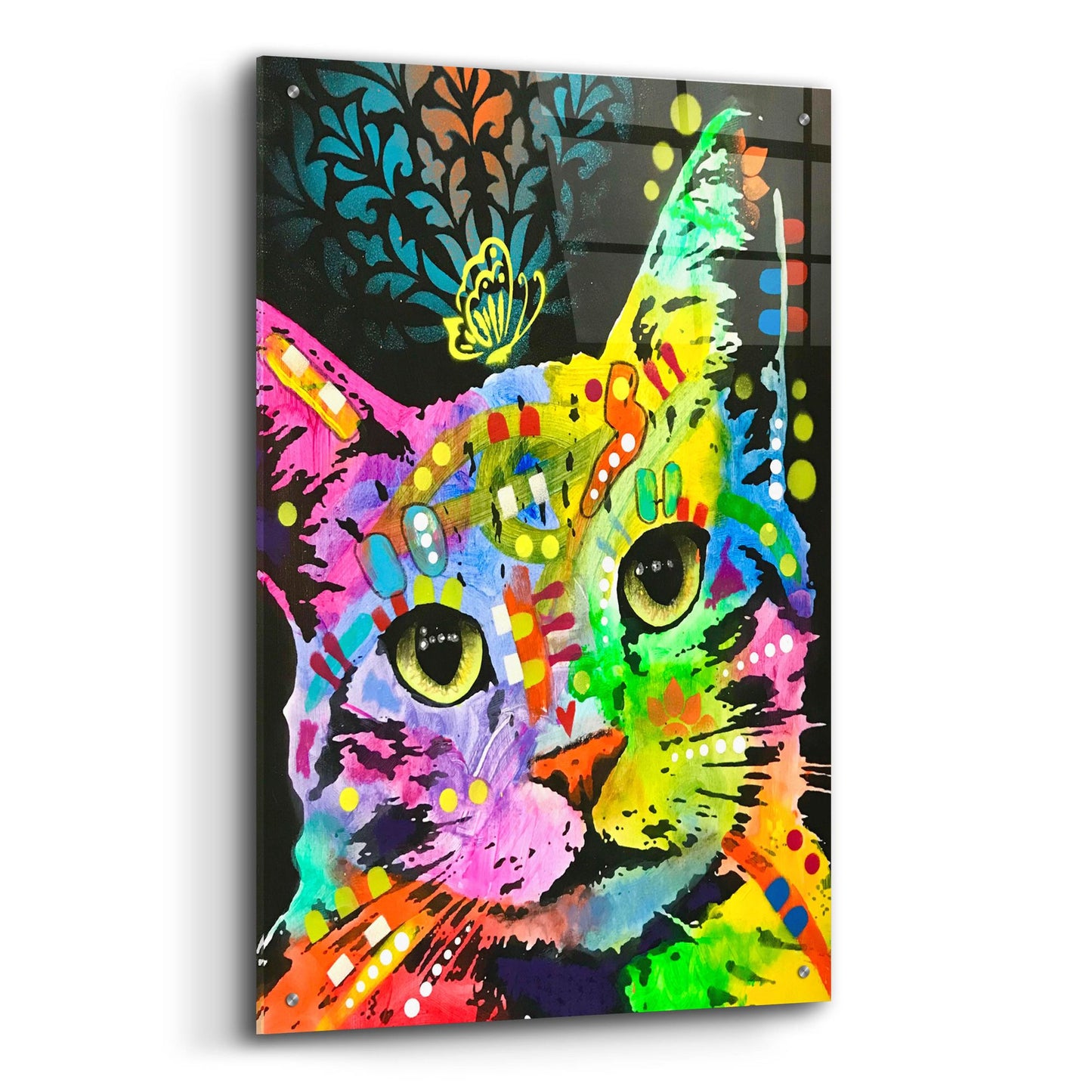 Epic Art 'Tilt Cat Butterfly' by Dean Russo Studios, Acrylic Glass Wall Art,24x36