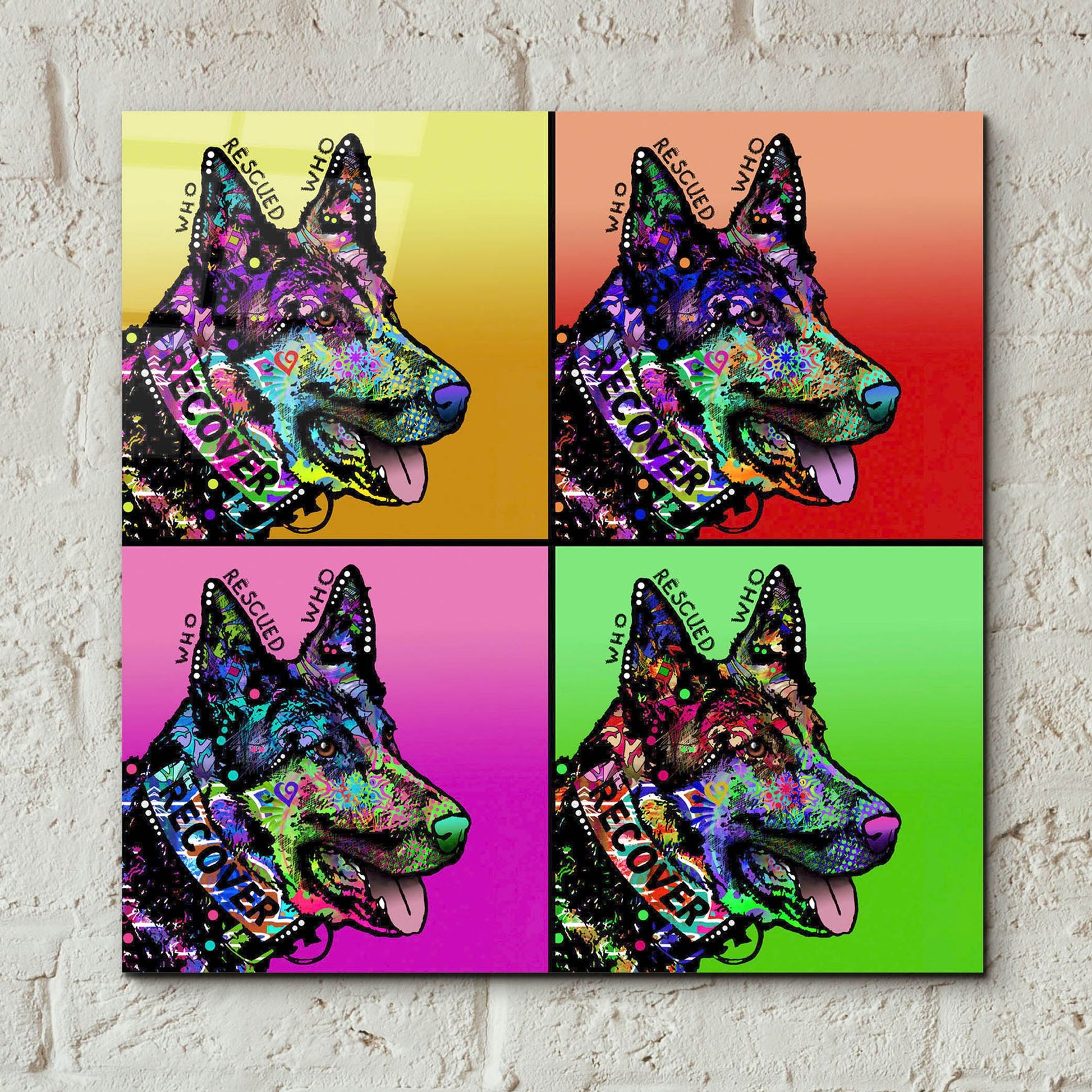 Epic Art 'Who Rescued Who 4X' by Dean Russo Studios, Acrylic Glass Wall Art,12x12