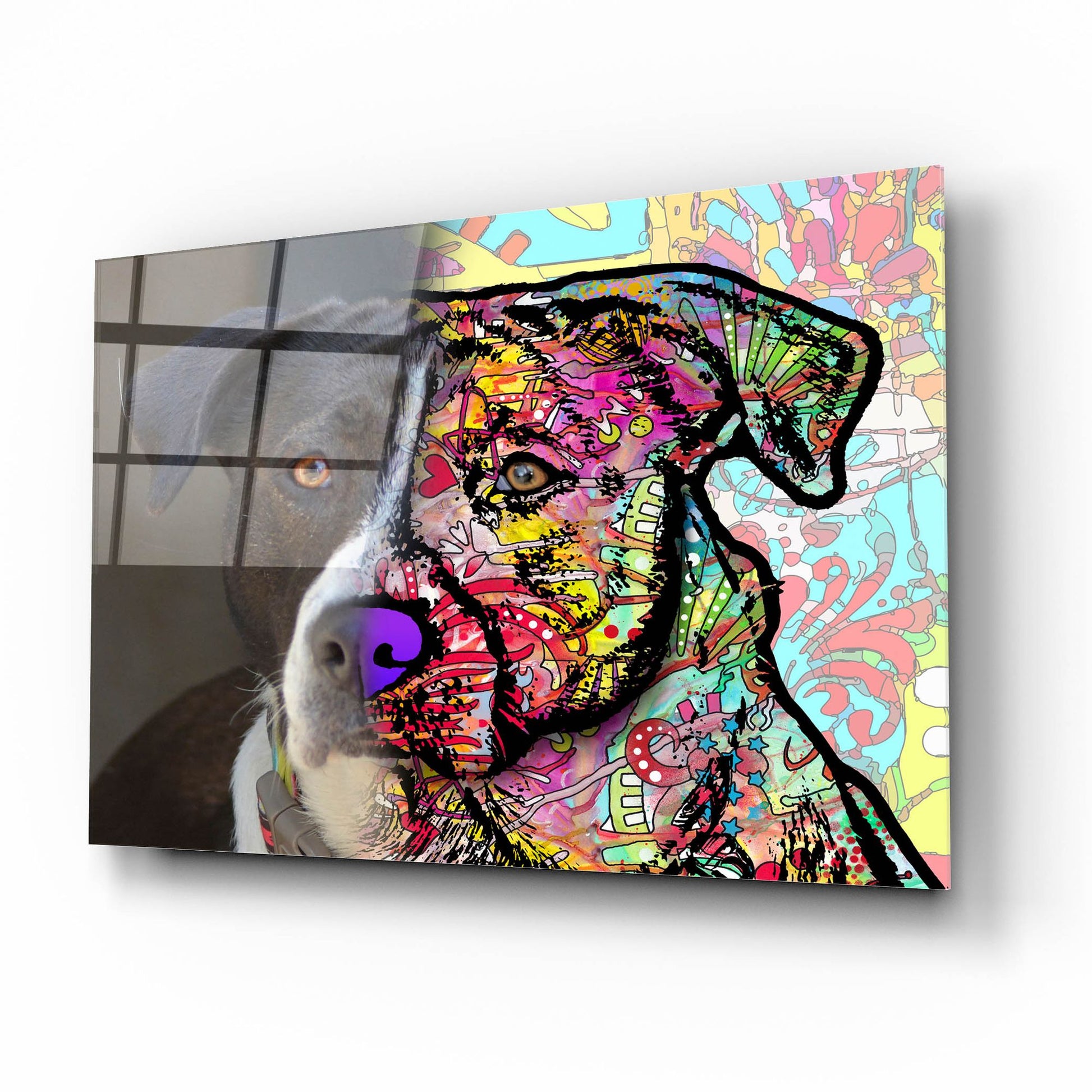 Epic Art 'Christine Dewey_Lulu' by Dean Russo Studios, Acrylic Glass Wall Art,16x12