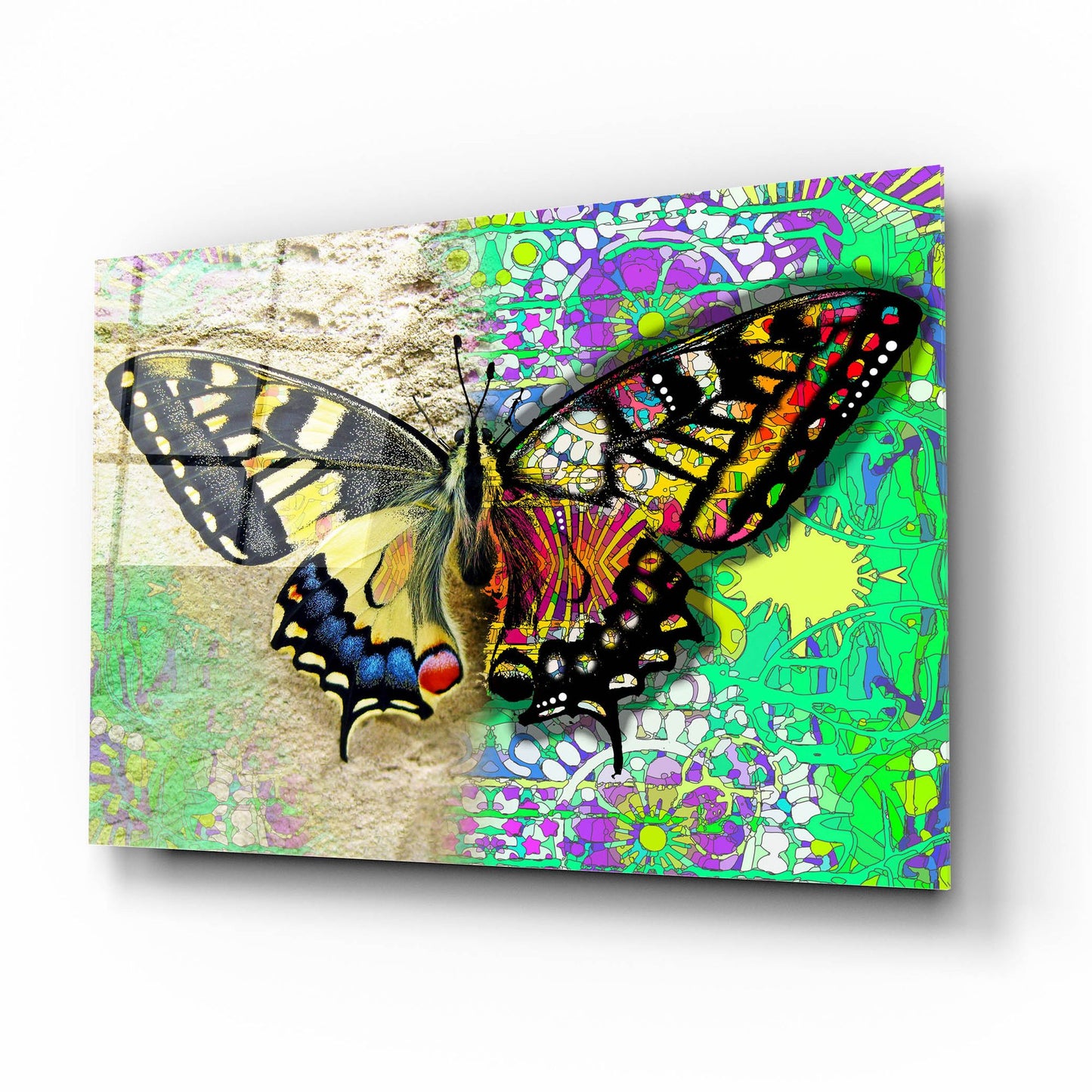 Epic Art 'Exposed Butterfly' by Dean Russo Studios, Acrylic Glass Wall Art,16x12