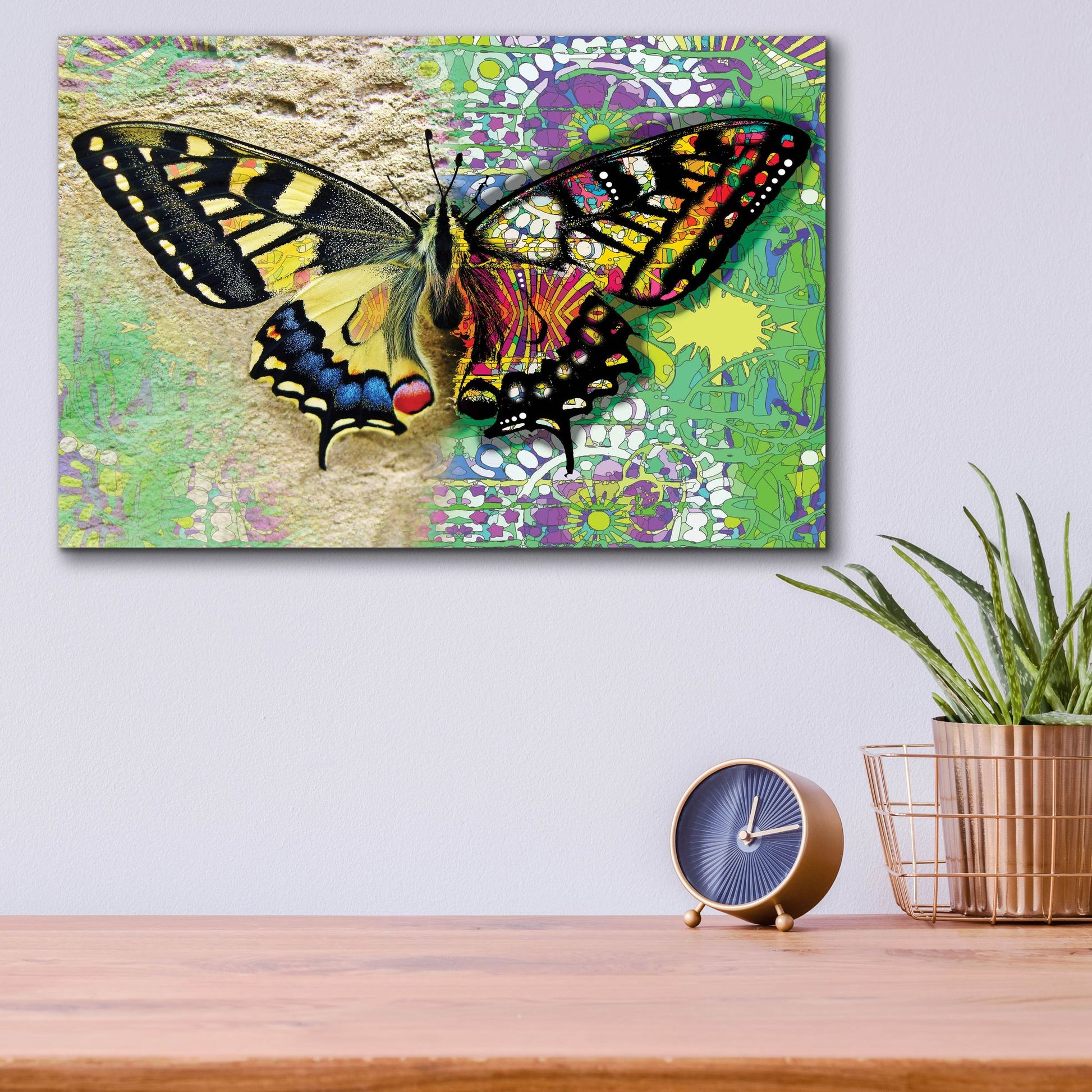 Epic Art 'Exposed Butterfly' by Dean Russo Studios, Acrylic Glass Wall Art,16x12