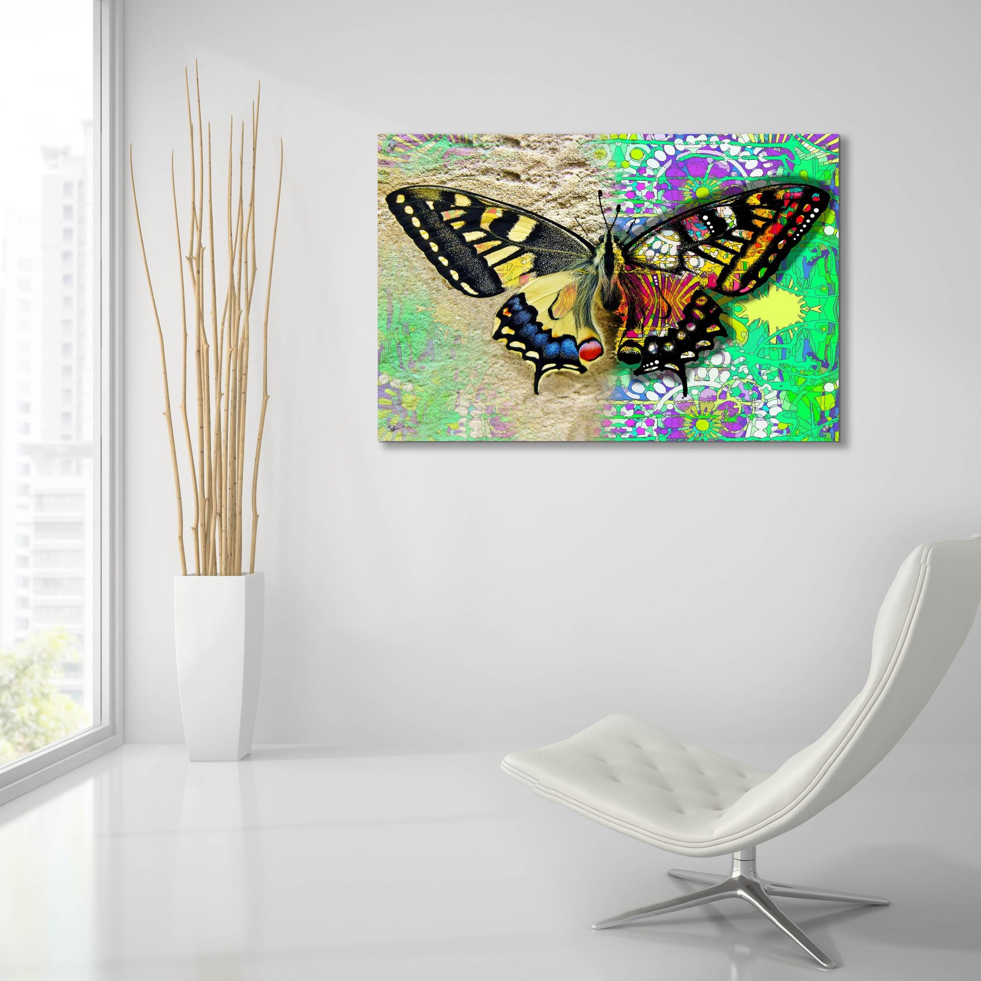 Epic Art 'Exposed Butterfly' by Dean Russo Studios, Acrylic Glass Wall Art,36x24