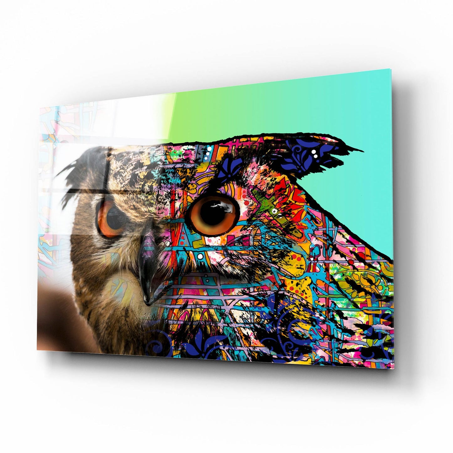 Epic Art 'Exposed Owl' by Dean Russo Studios, Acrylic Glass Wall Art,16x12