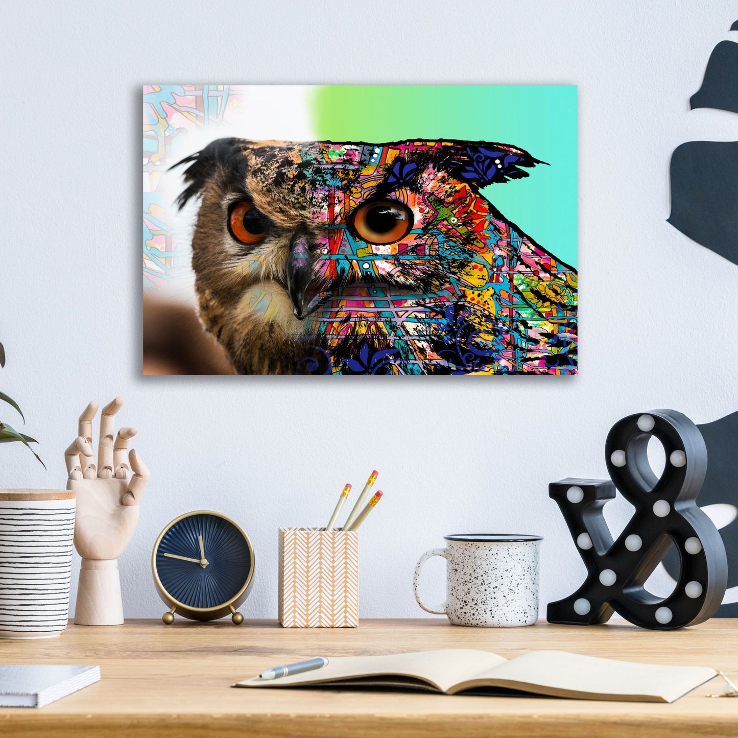 Epic Art 'Exposed Owl' by Dean Russo Studios, Acrylic Glass Wall Art,16x12