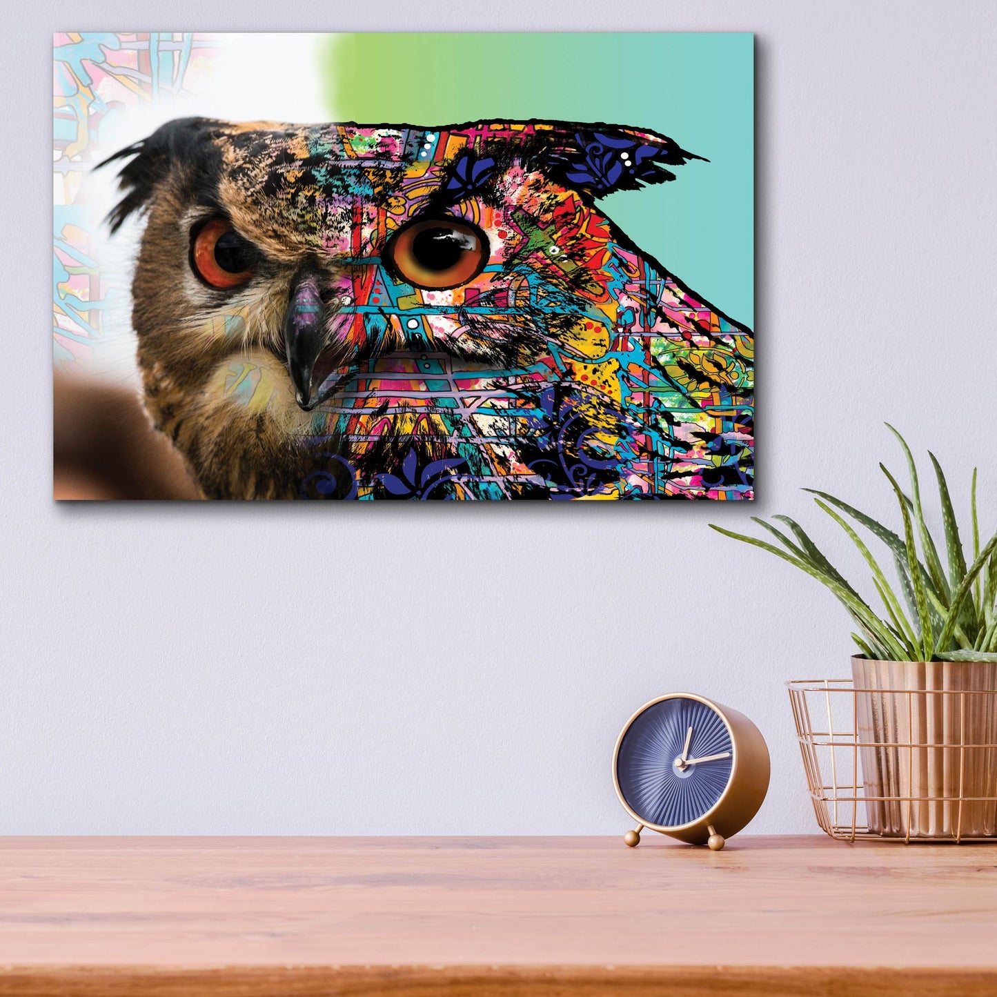 Epic Art 'Exposed Owl' by Dean Russo Studios, Acrylic Glass Wall Art,16x12