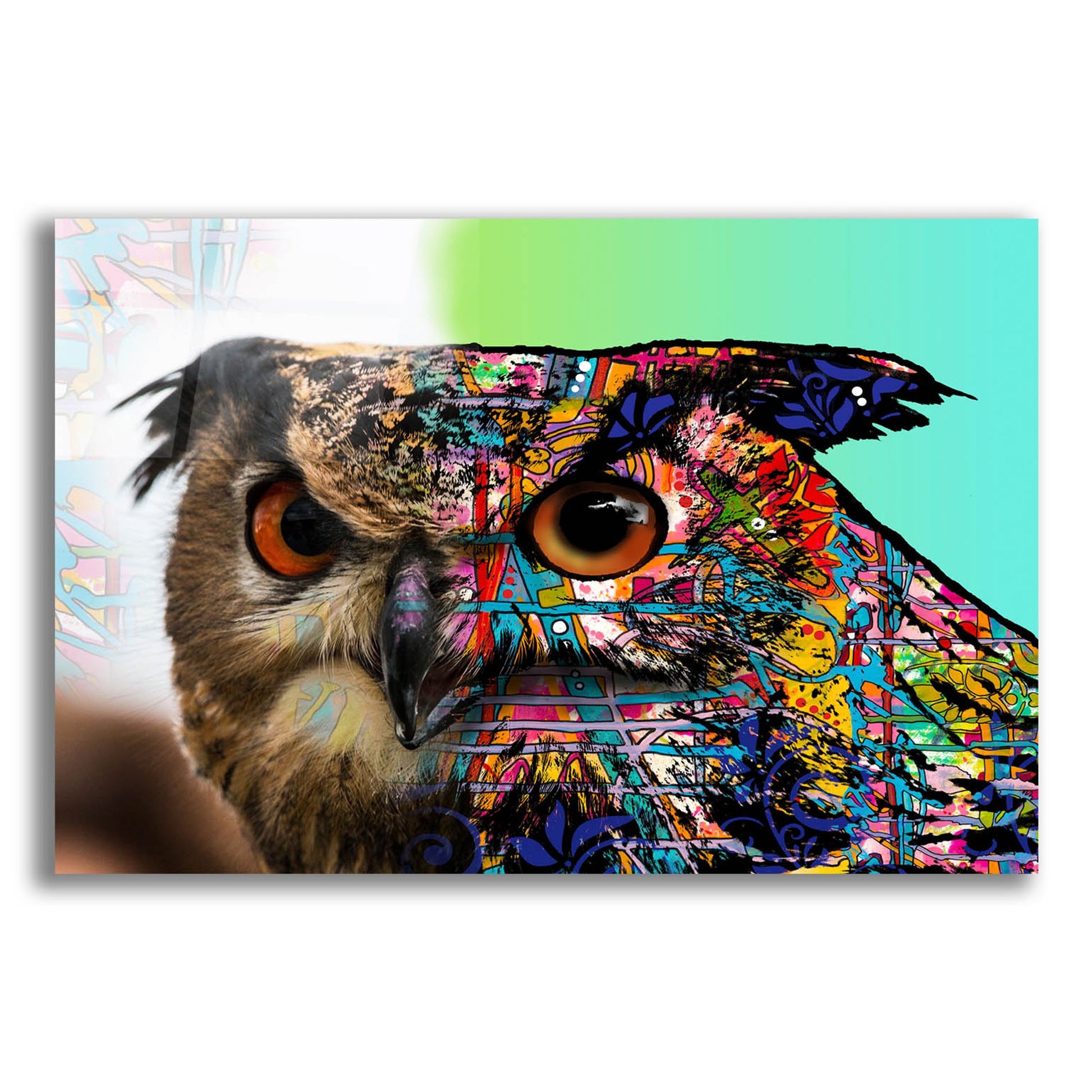 Epic Art 'Exposed Owl' by Dean Russo Studios, Acrylic Glass Wall Art,16x12