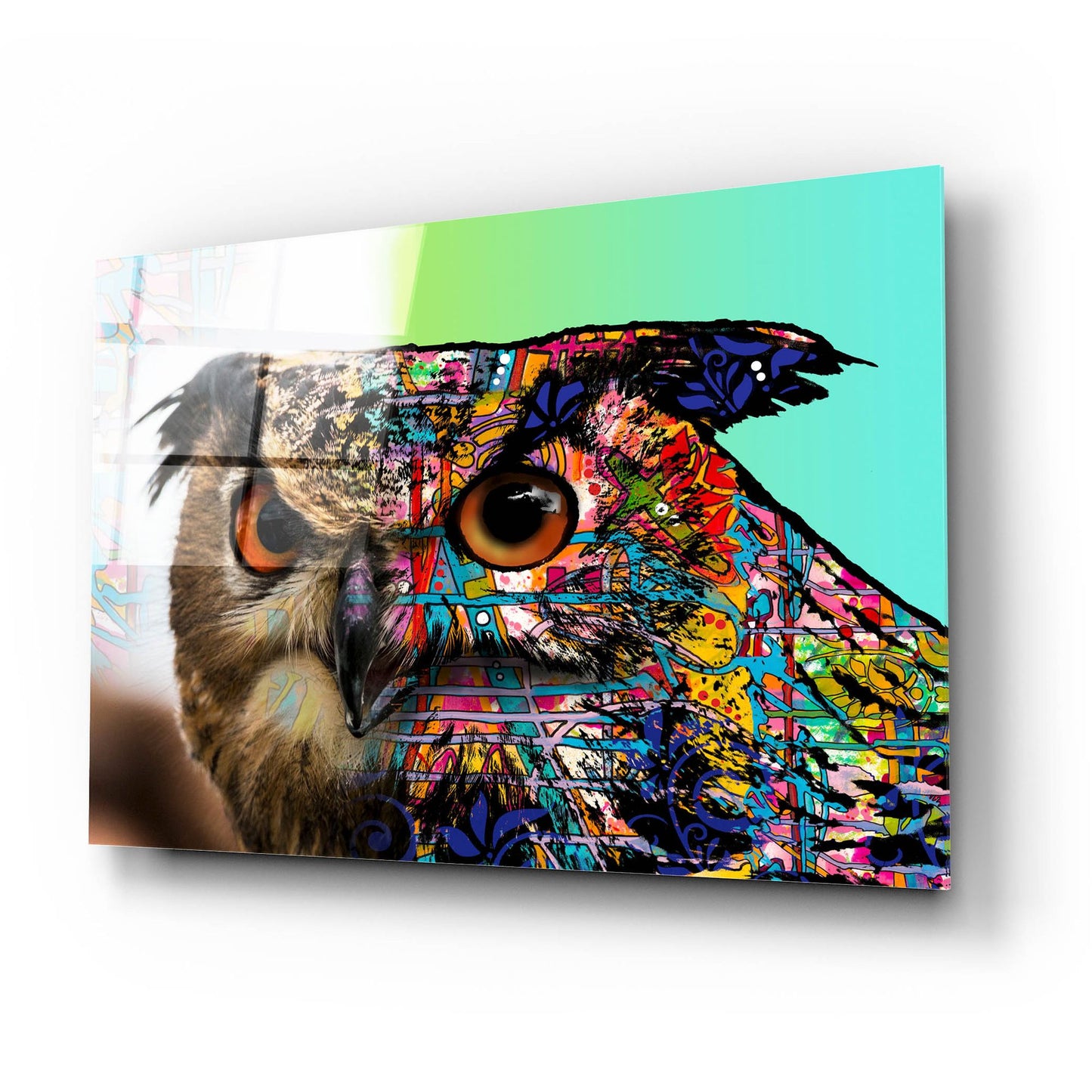 Epic Art 'Exposed Owl' by Dean Russo Studios, Acrylic Glass Wall Art,24x16