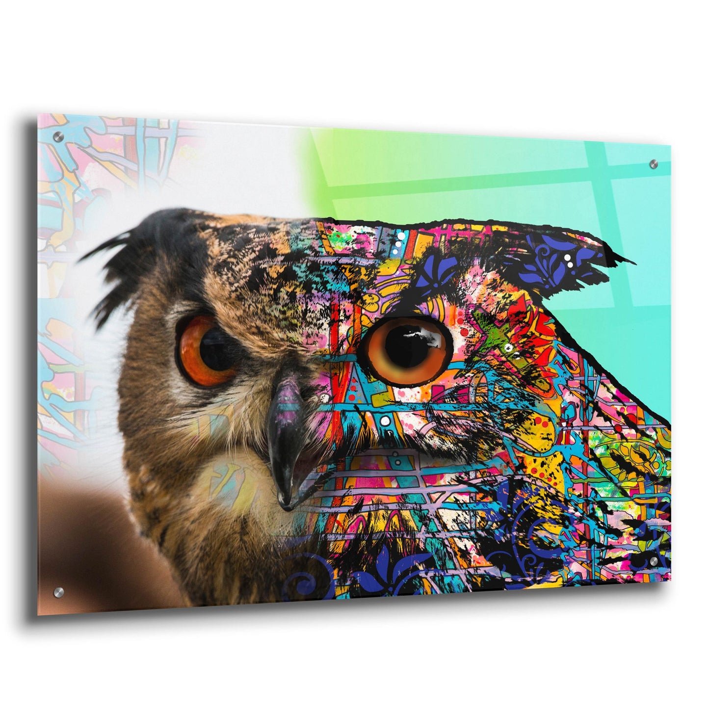 Epic Art 'Exposed Owl' by Dean Russo Studios, Acrylic Glass Wall Art,36x24