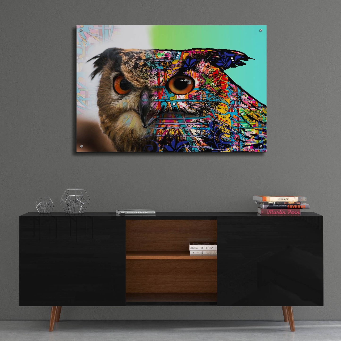 Epic Art 'Exposed Owl' by Dean Russo Studios, Acrylic Glass Wall Art,36x24