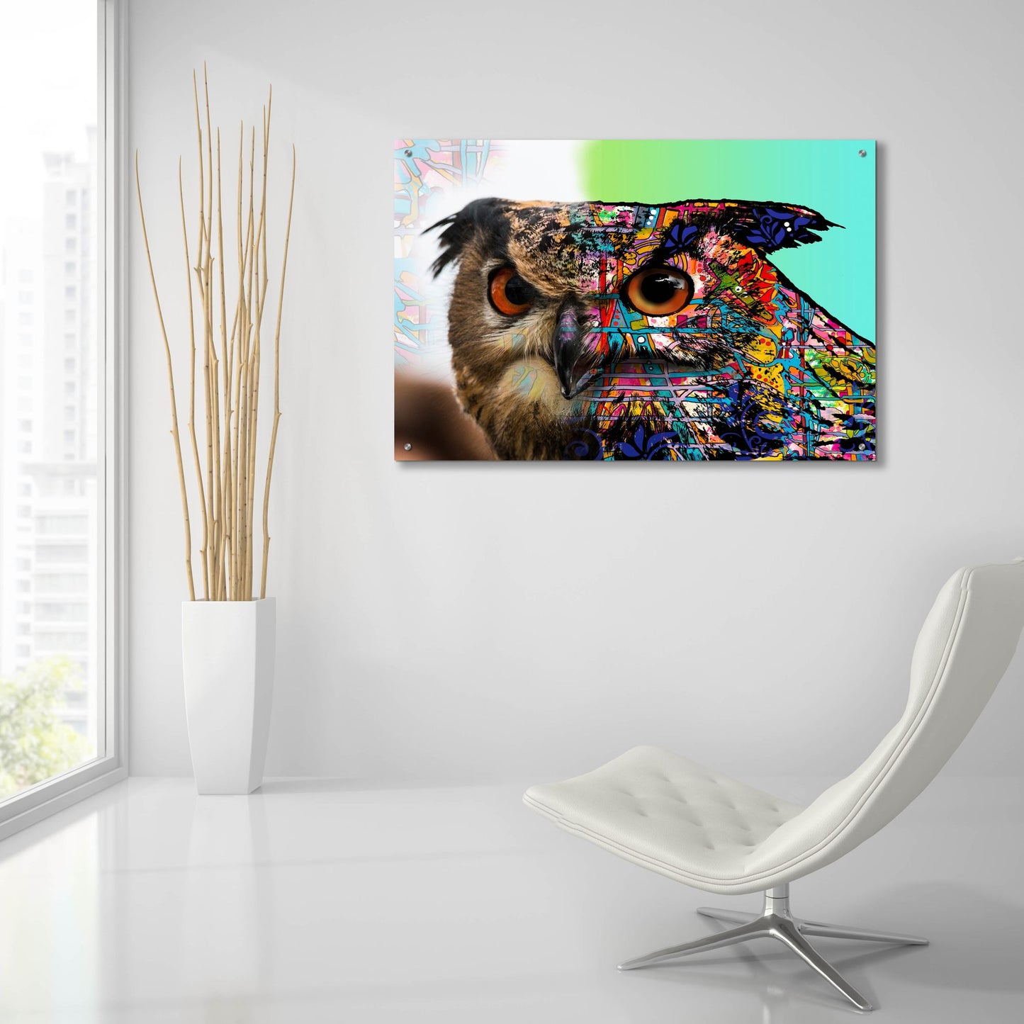 Epic Art 'Exposed Owl' by Dean Russo Studios, Acrylic Glass Wall Art,36x24