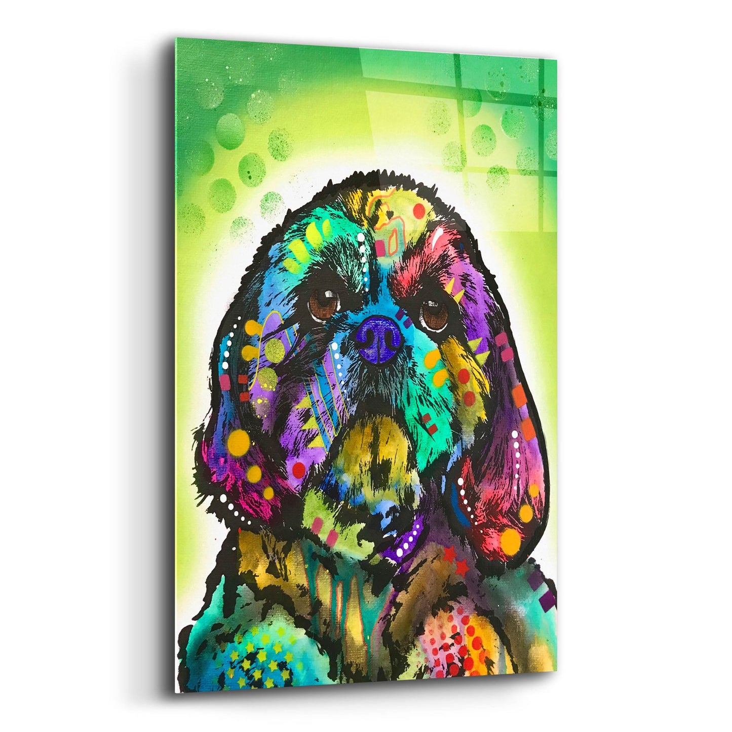 Epic Art 'Kinda Shih Tzu' by Dean Russo Studios, Acrylic Glass Wall Art,12x16