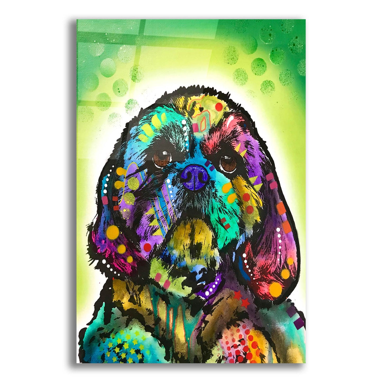 Epic Art 'Kinda Shih Tzu' by Dean Russo Studios, Acrylic Glass Wall Art,12x16