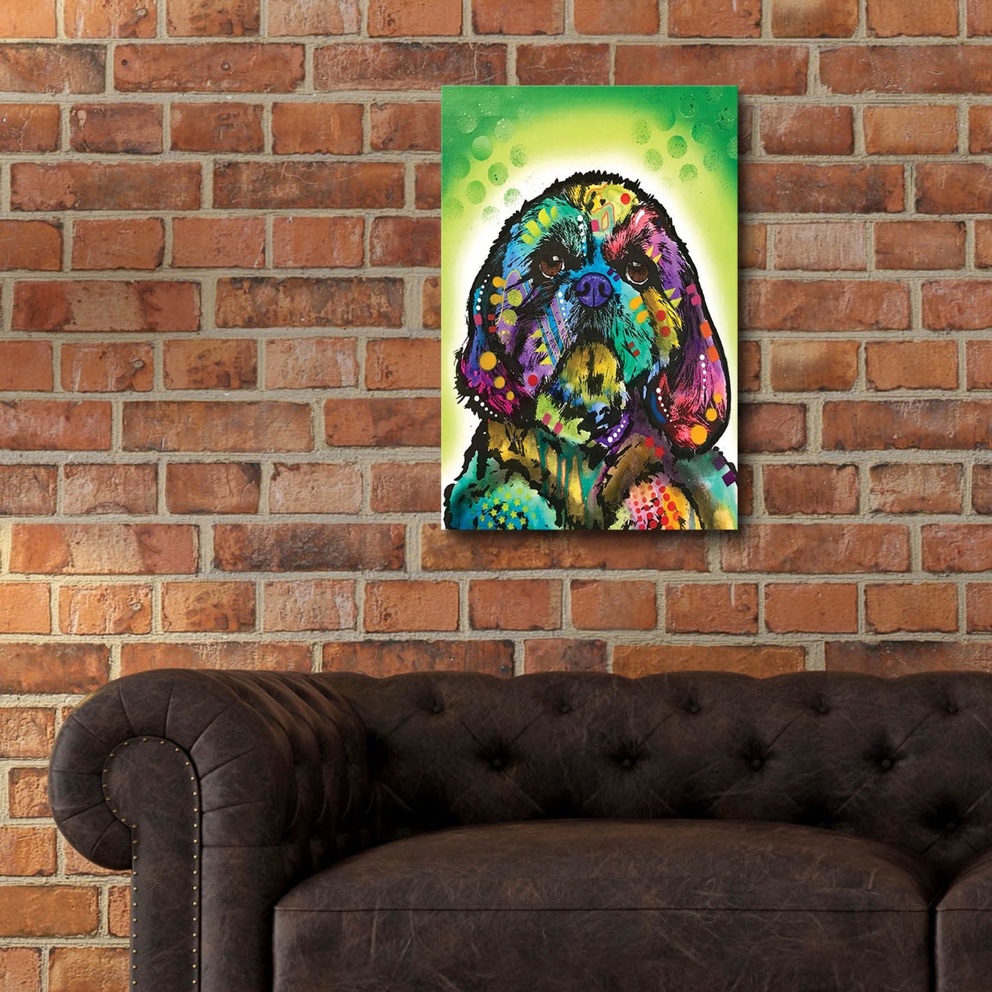 Epic Art 'Kinda Shih Tzu' by Dean Russo Studios, Acrylic Glass Wall Art,16x24