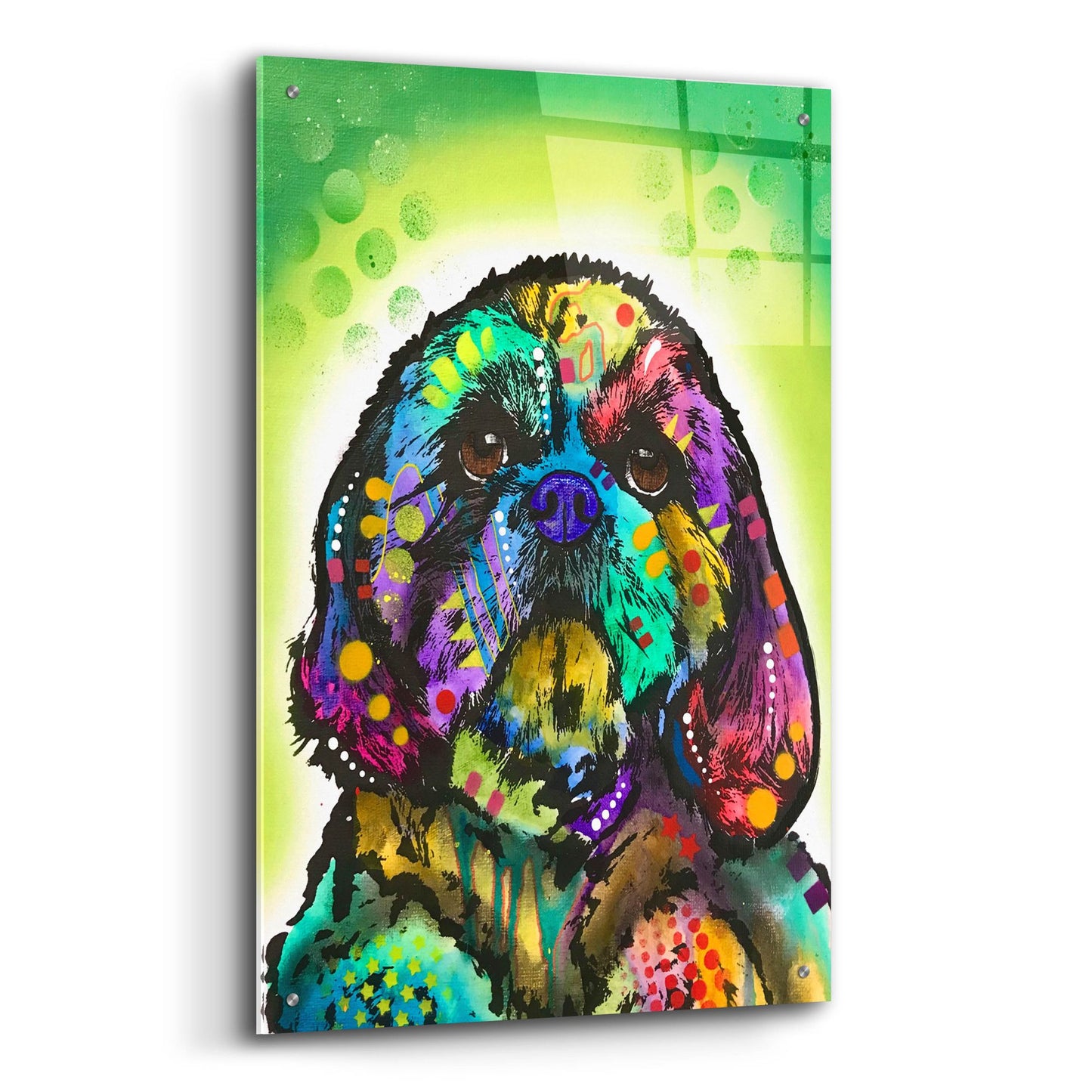 Epic Art 'Kinda Shih Tzu' by Dean Russo Studios, Acrylic Glass Wall Art,24x36