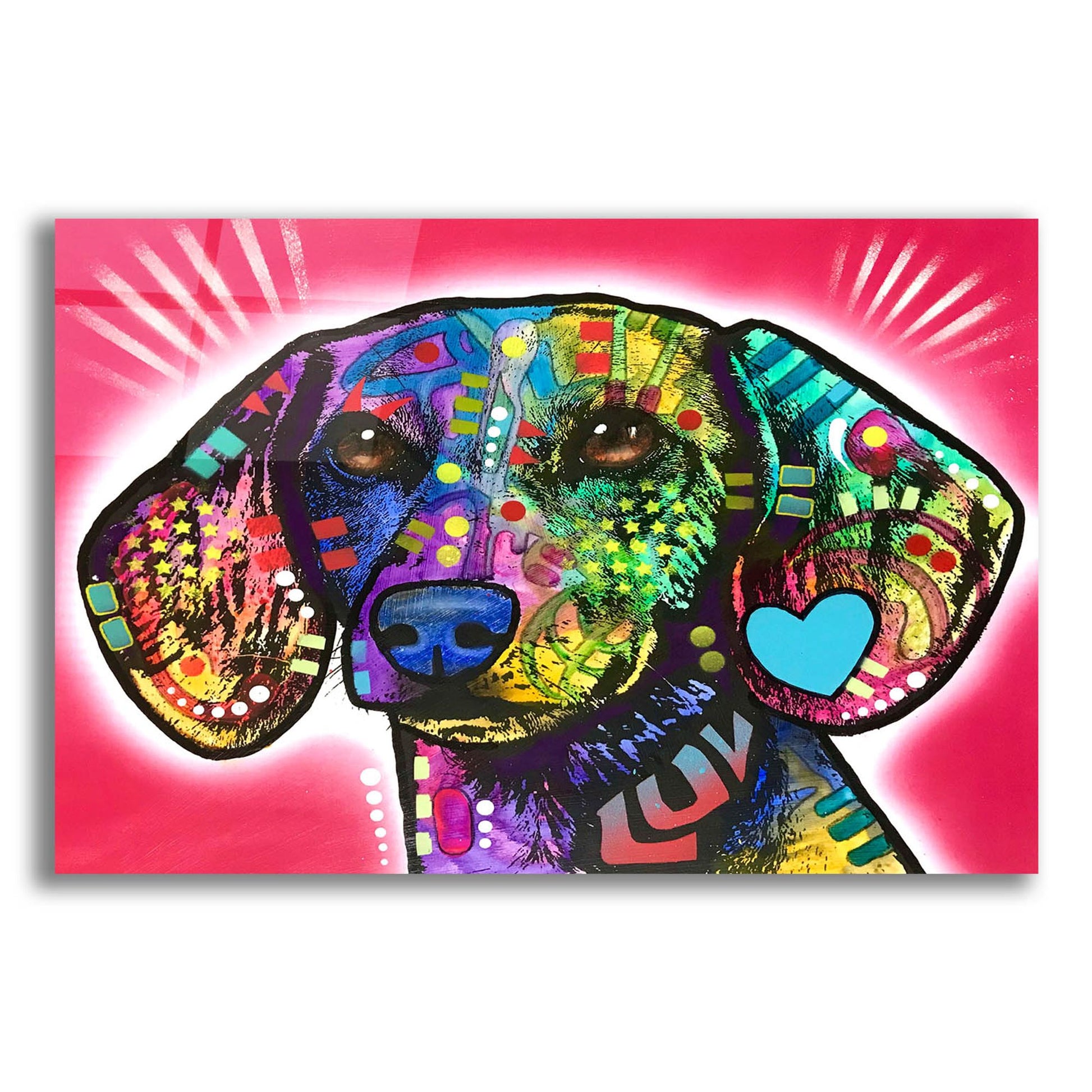 Epic Art 'Luv Doxie' by Dean Russo Studios, Acrylic Glass Wall Art,16x12