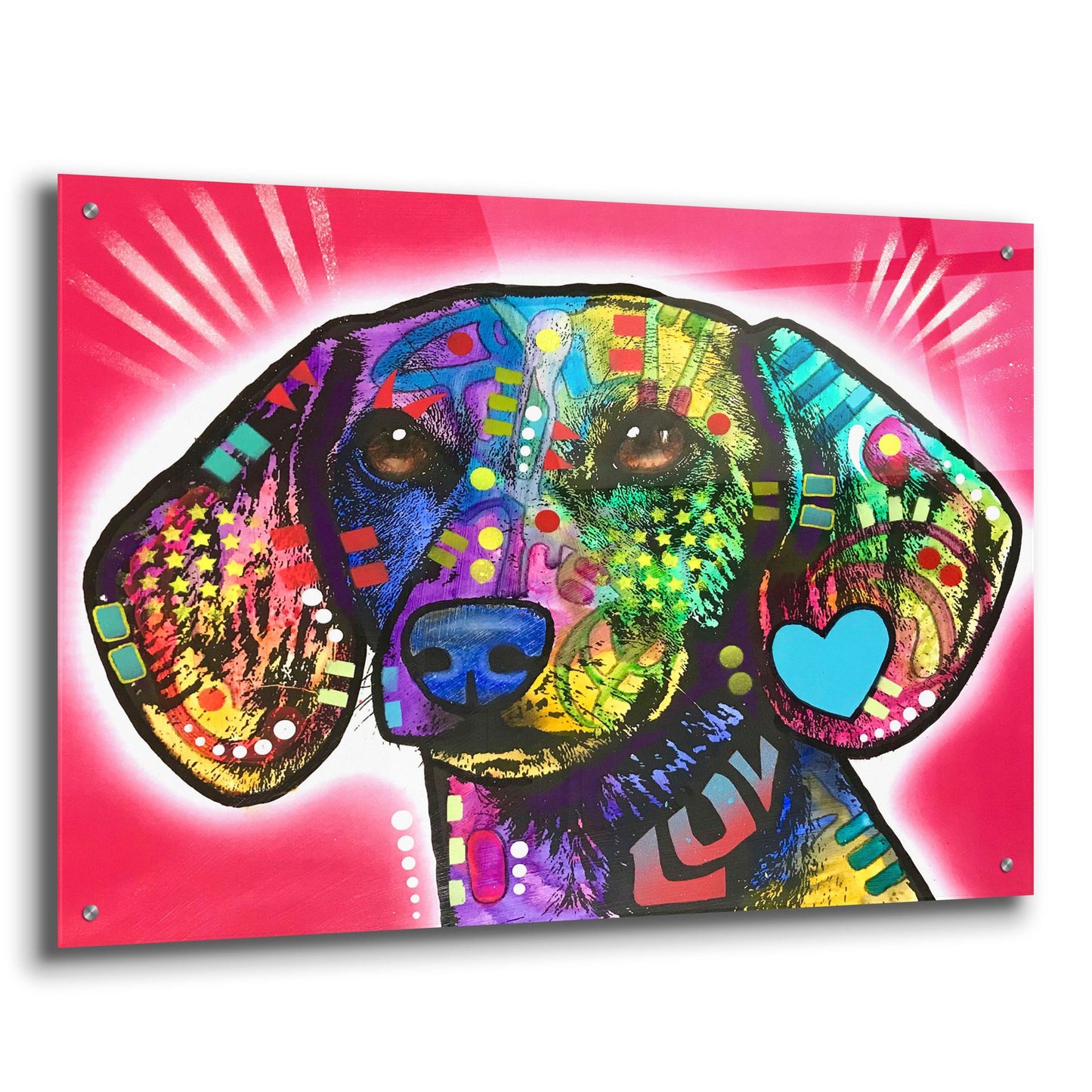 Epic Art 'Luv Doxie' by Dean Russo Studios, Acrylic Glass Wall Art,36x24