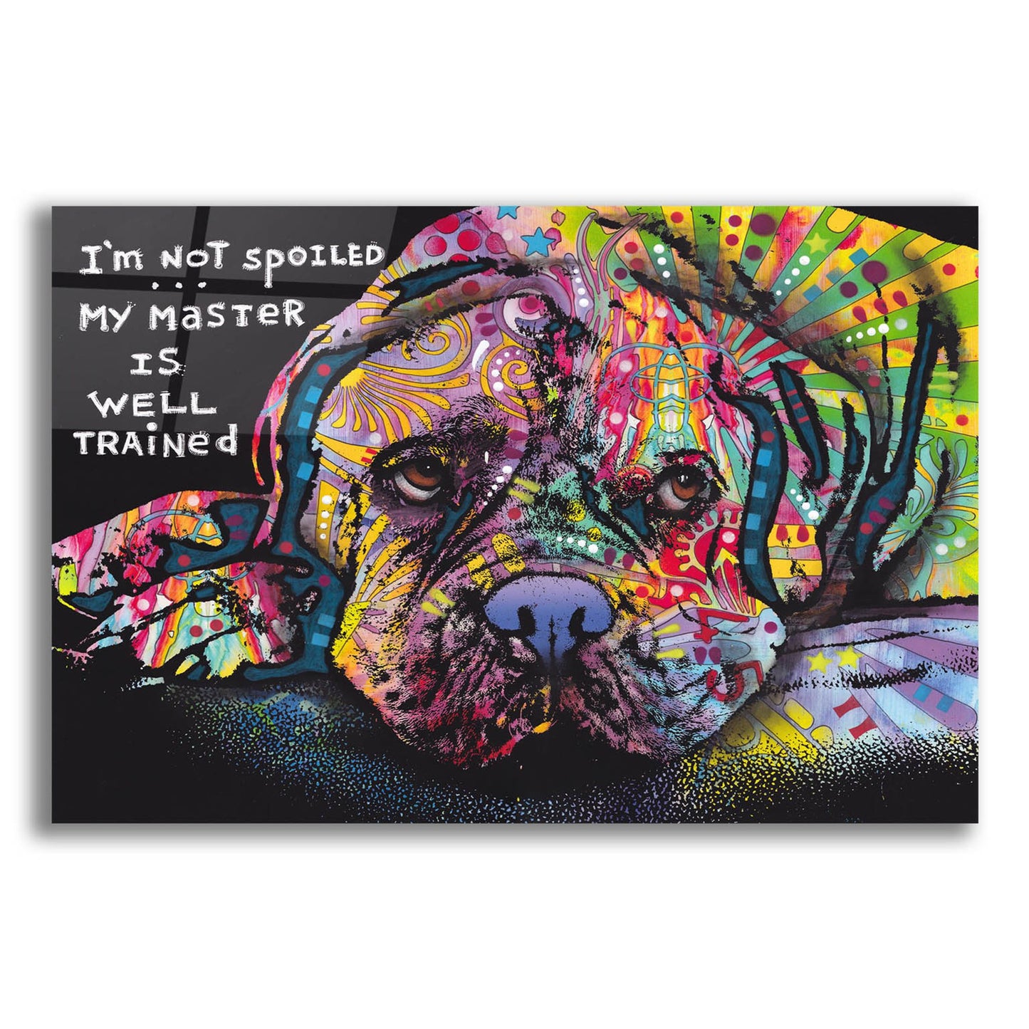 Epic Art 'Not Spoiled' by Dean Russo Studios, Acrylic Glass Wall Art,16x12