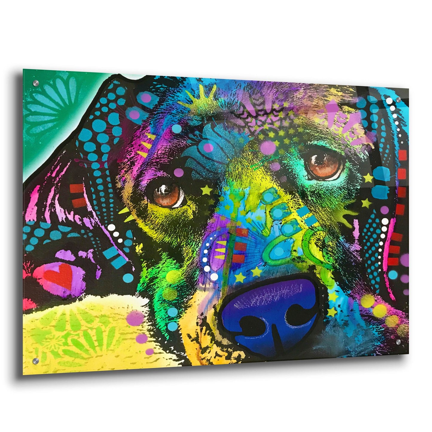 Epic Art 'That Happy Place' by Dean Russo Studios, Acrylic Glass Wall Art,36x24