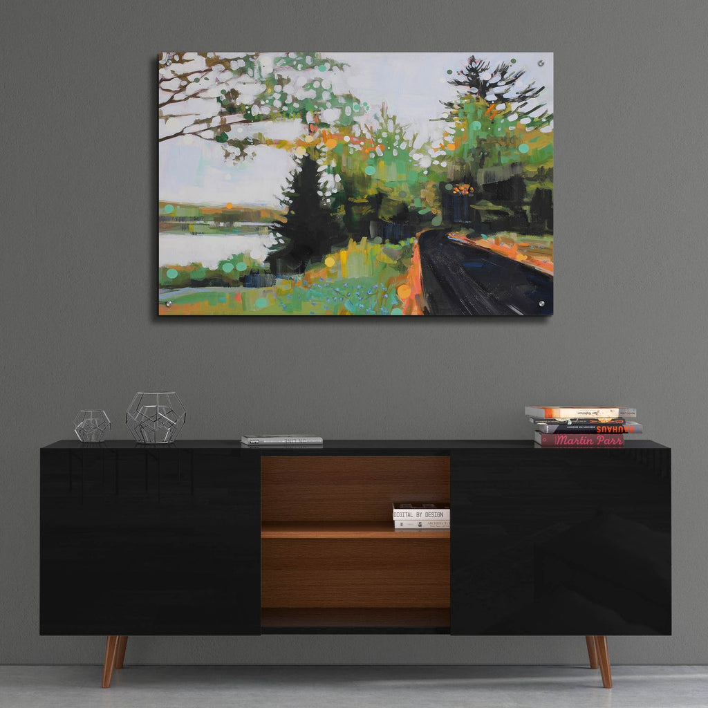 Star Splitter by Adam Swanson - 36x24 acrylic wall art in a room