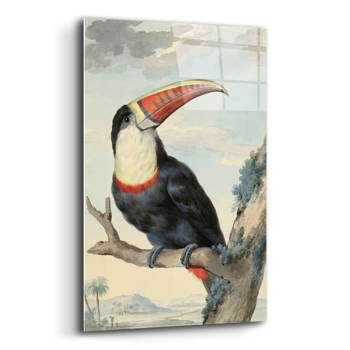 Epic Art ' Red-billed Toucan, c. 1748' by Aert Schouman, Acrylic Glass Wall Art,12x16