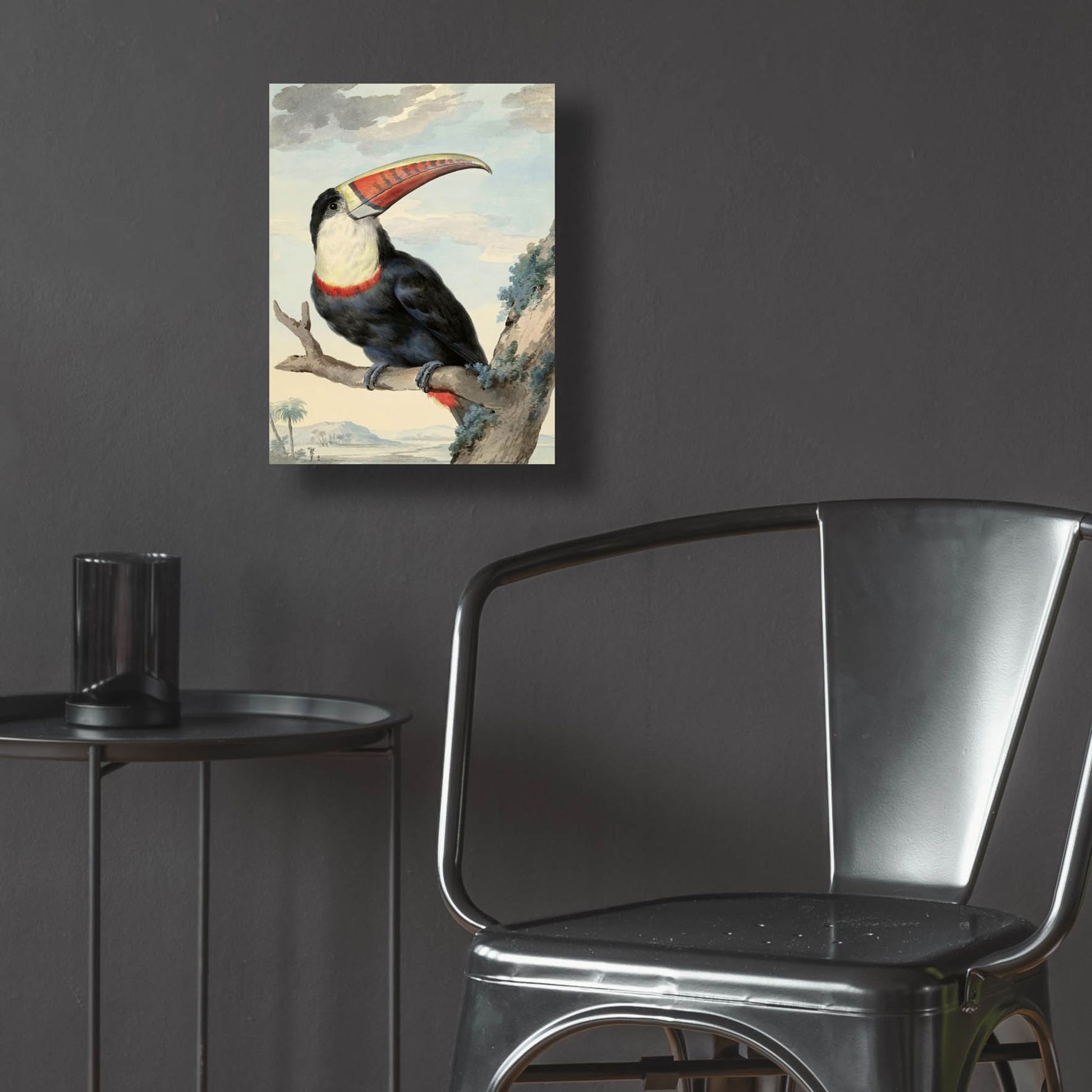 Epic Art ' Red-billed Toucan, c. 1748' by Aert Schouman, Acrylic Glass Wall Art,12x16