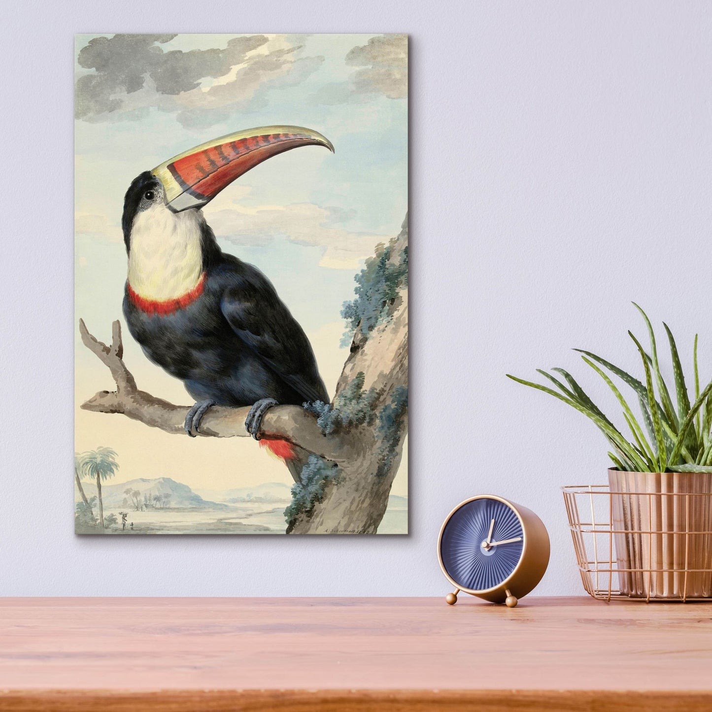 Epic Art ' Red-billed Toucan, c. 1748' by Aert Schouman, Acrylic Glass Wall Art,12x16