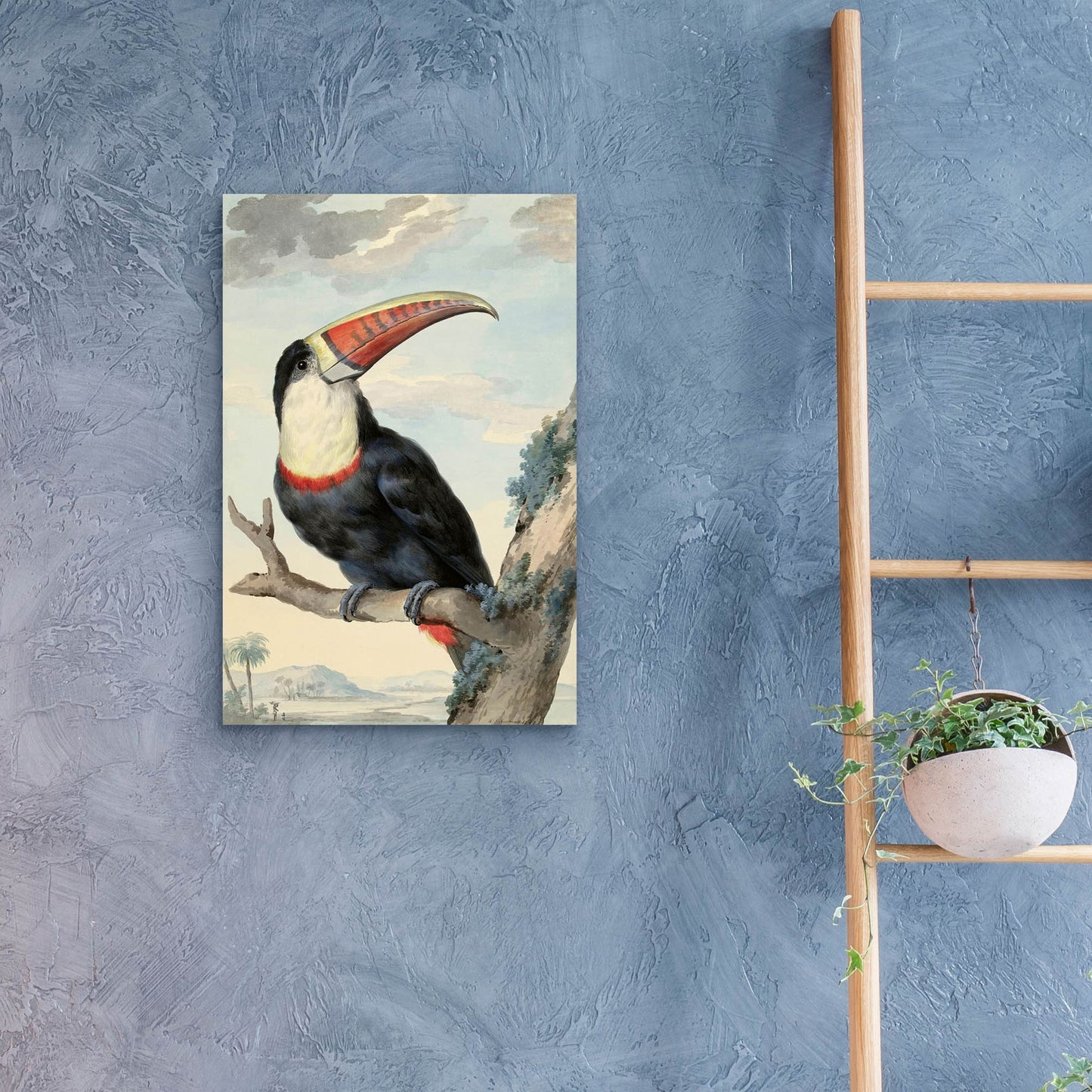 Epic Art ' Red-billed Toucan, c. 1748' by Aert Schouman, Acrylic Glass Wall Art,16x24