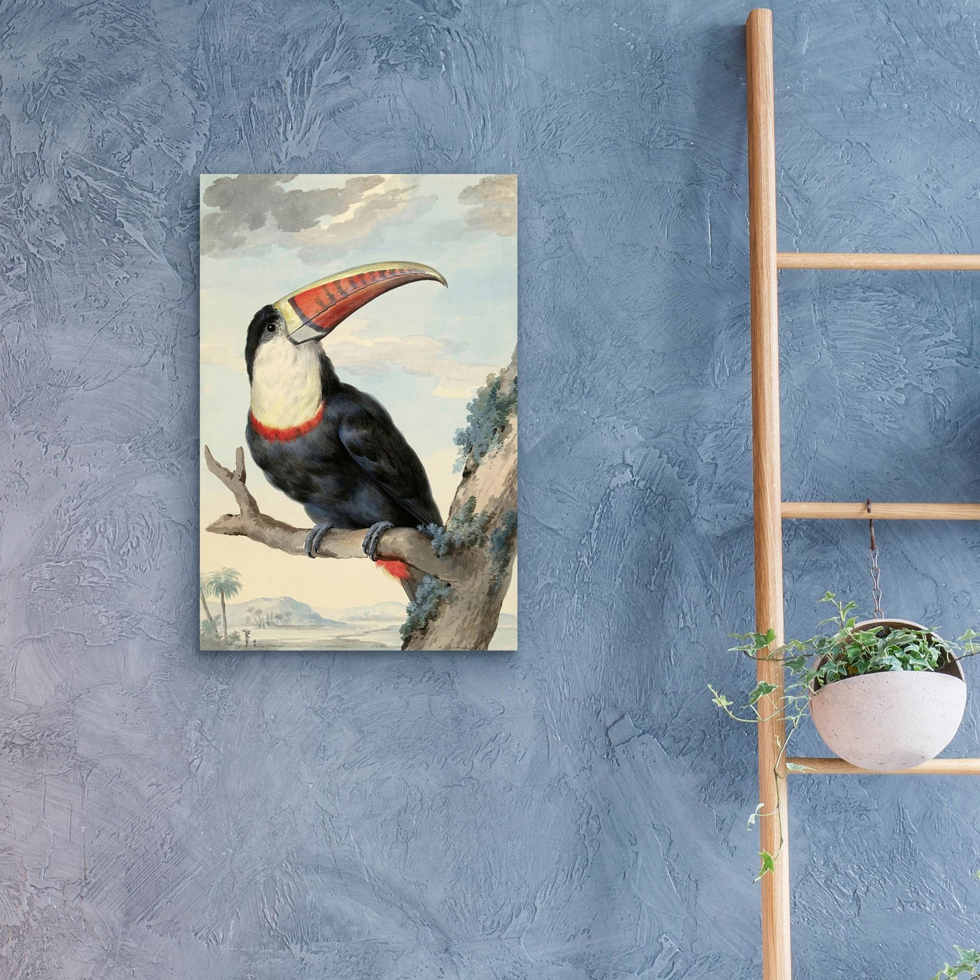 Epic Art ' Red-billed Toucan, c. 1748' by Aert Schouman, Acrylic Glass Wall Art,16x24