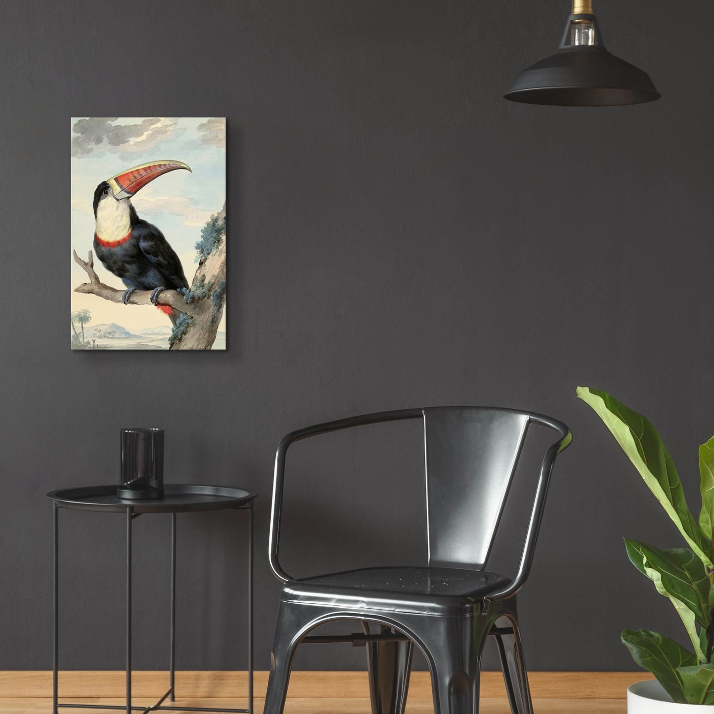 Epic Art ' Red-billed Toucan, c. 1748' by Aert Schouman, Acrylic Glass Wall Art,16x24