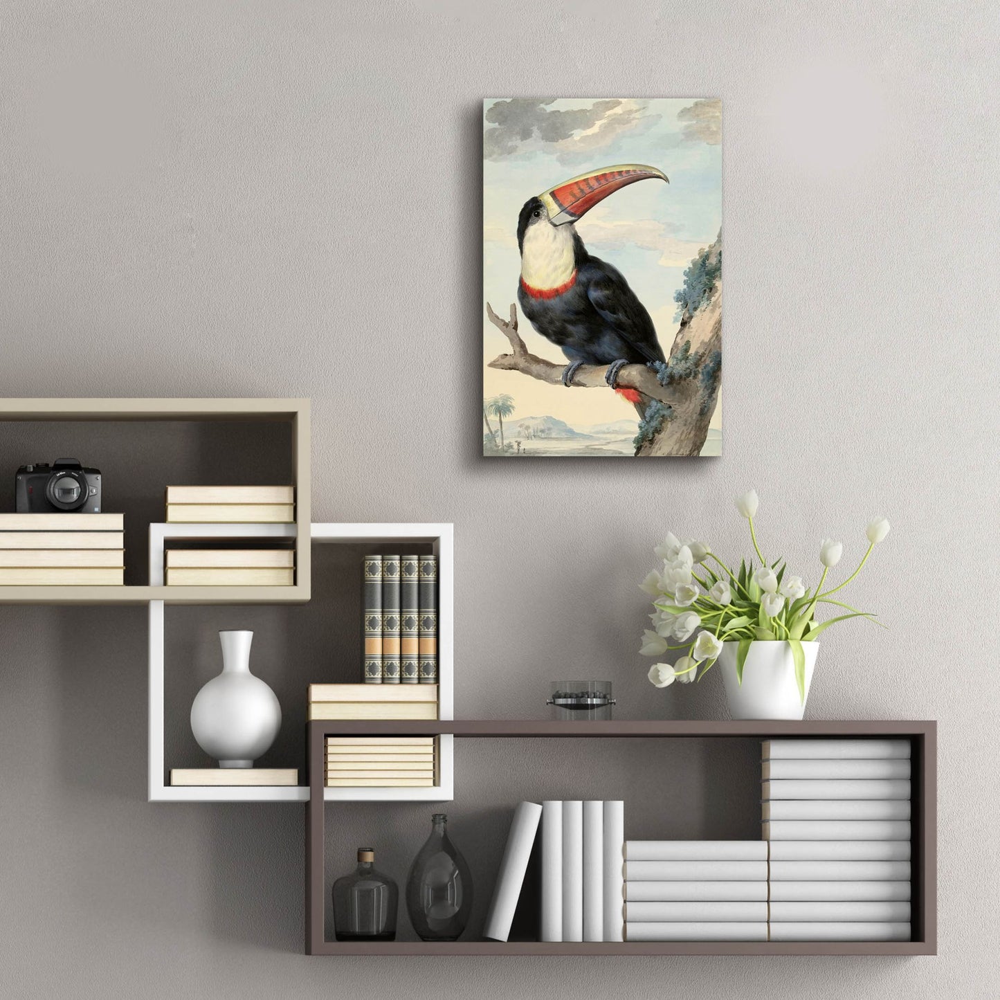 Epic Art ' Red-billed Toucan, c. 1748' by Aert Schouman, Acrylic Glass Wall Art,16x24