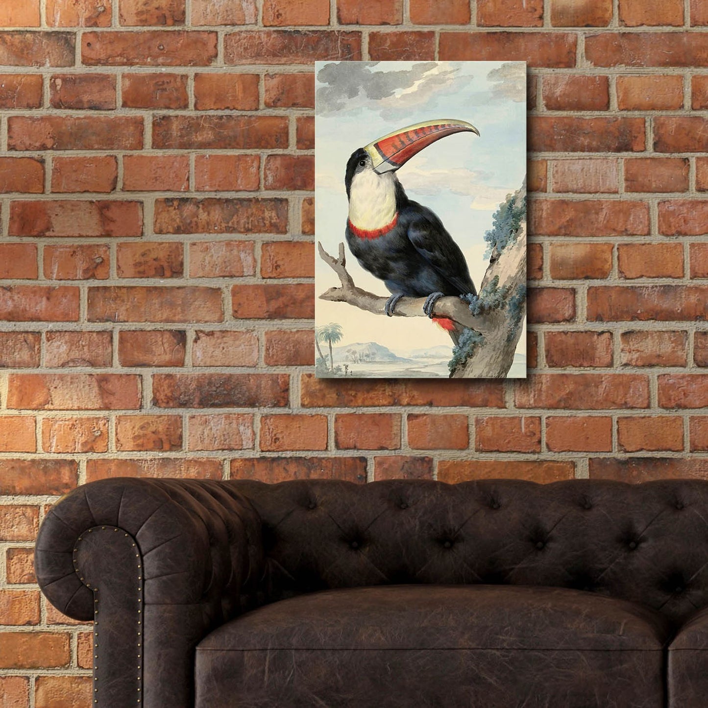 Epic Art ' Red-billed Toucan, c. 1748' by Aert Schouman, Acrylic Glass Wall Art,16x24