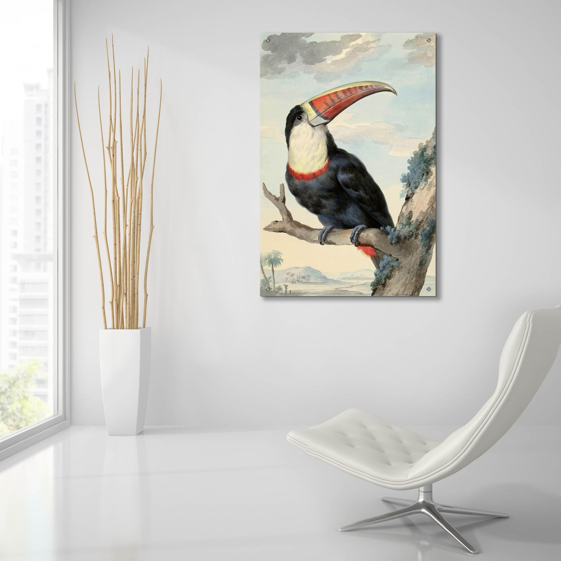 Epic Art ' Red-billed Toucan, c. 1748' by Aert Schouman, Acrylic Glass Wall Art,24x36