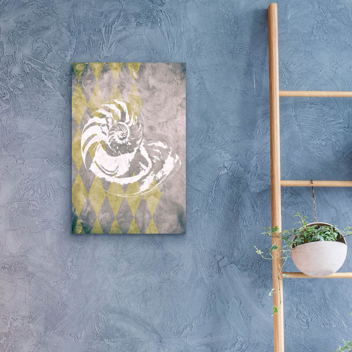 Vintage Harlequin Shell 1 by Alicia Soave - 16x24 acrylic wall art in a room
