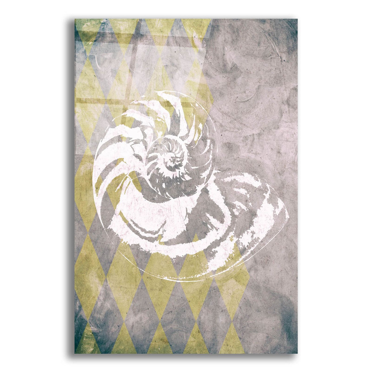 Vintage Harlequin Shell 1 by Alicia Soave acrylic glass wall art