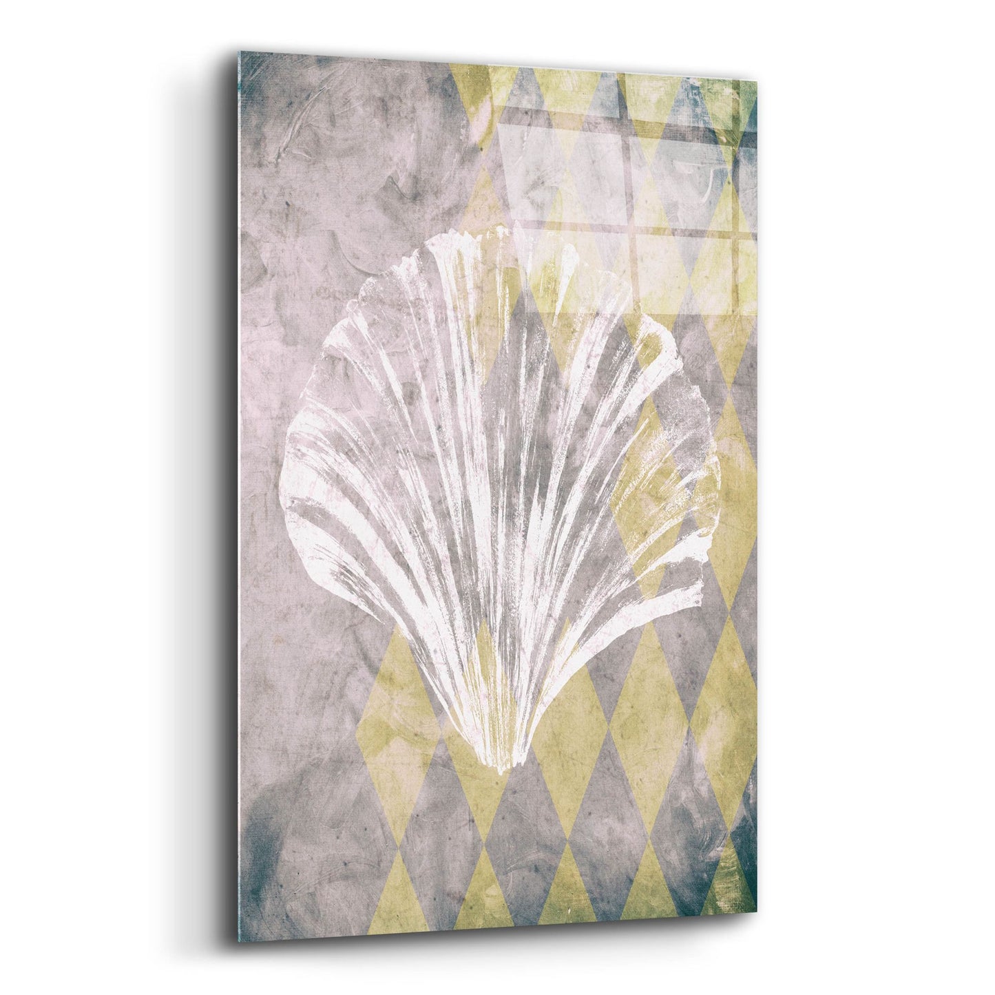 Epic Art ' Vintage Harlequin Shell 2' by Alicia Soave, Acrylic Glass Wall Art,16x24