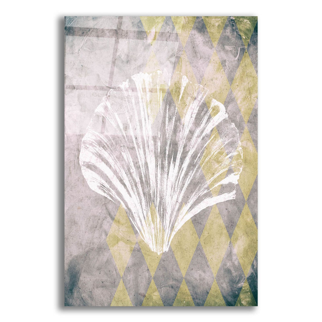 Vintage Harlequin Shell 2 by Alicia Soave acrylic glass wall art