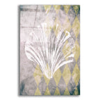 Vintage Harlequin Shell 2 by Alicia Soave acrylic glass wall art
