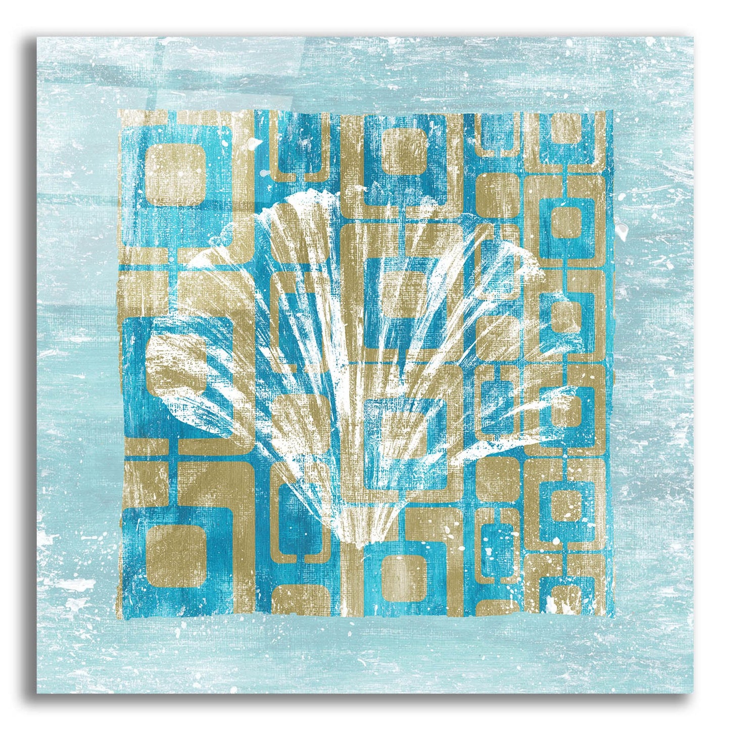 Epic Art ' Shell Game 1' by Alicia Soave, Acrylic Glass Wall Art,12x12