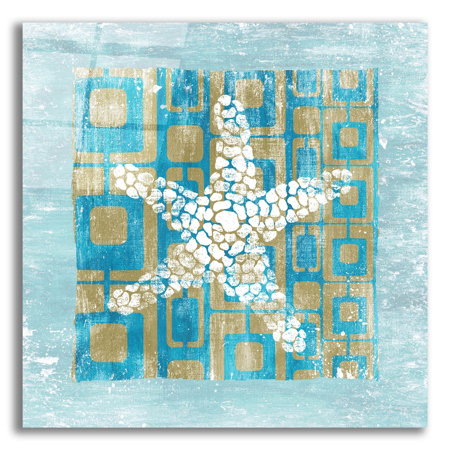 Epic Art ' Shell Game 3' by Alicia Soave, Acrylic Glass Wall Art,12x12