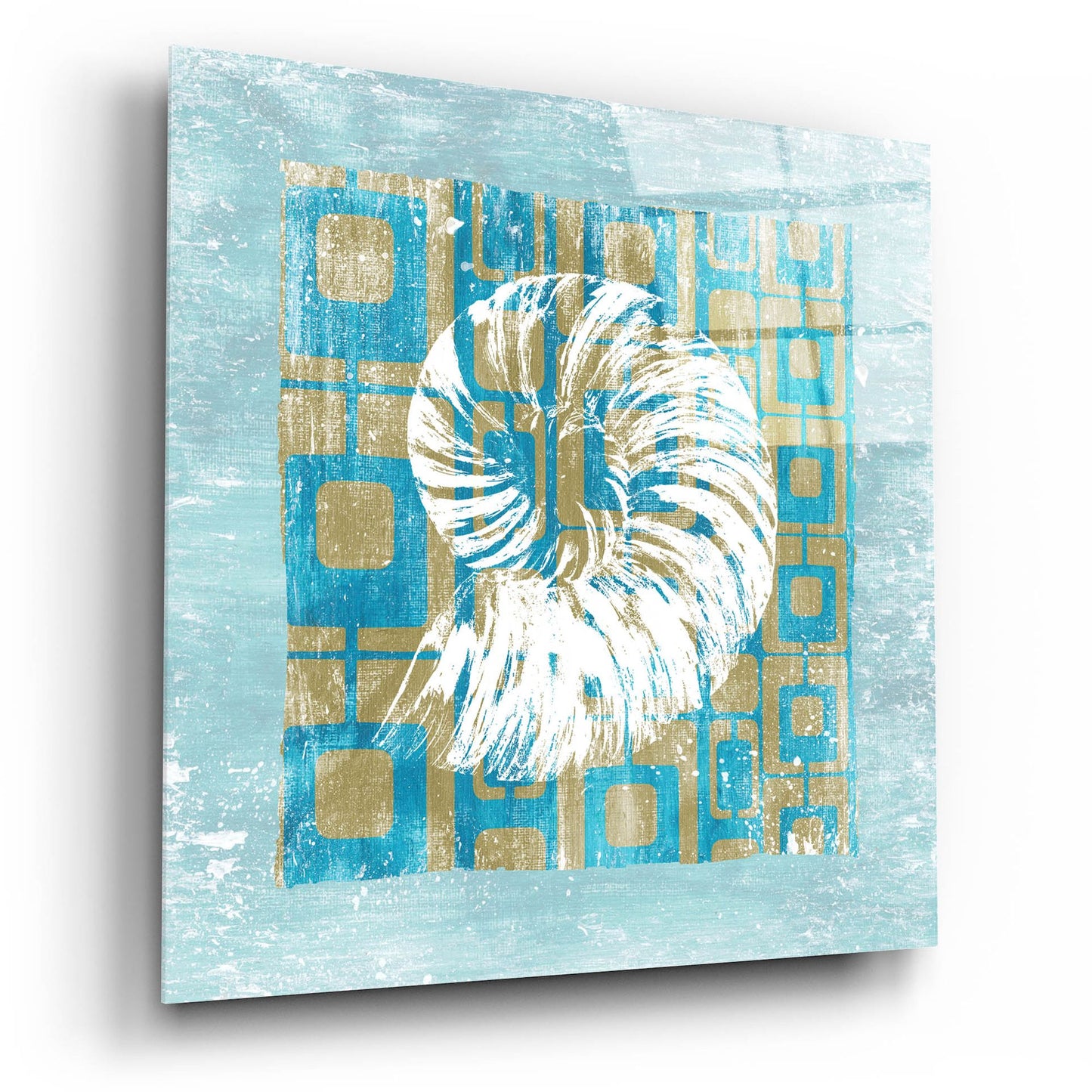 Epic Art ' Shell Game 4' by Alicia Soave, Acrylic Glass Wall Art,12x12