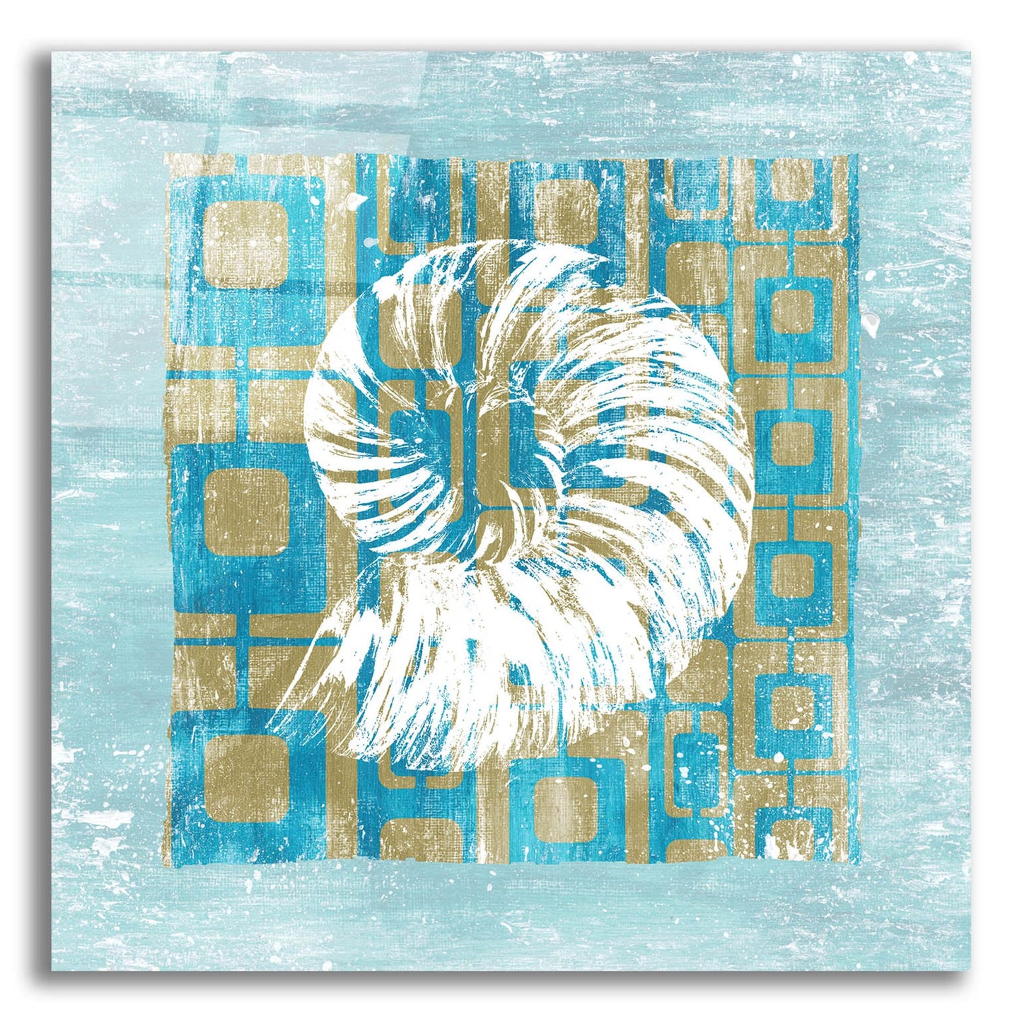 Epic Art ' Shell Game 4' by Alicia Soave, Acrylic Glass Wall Art,12x12