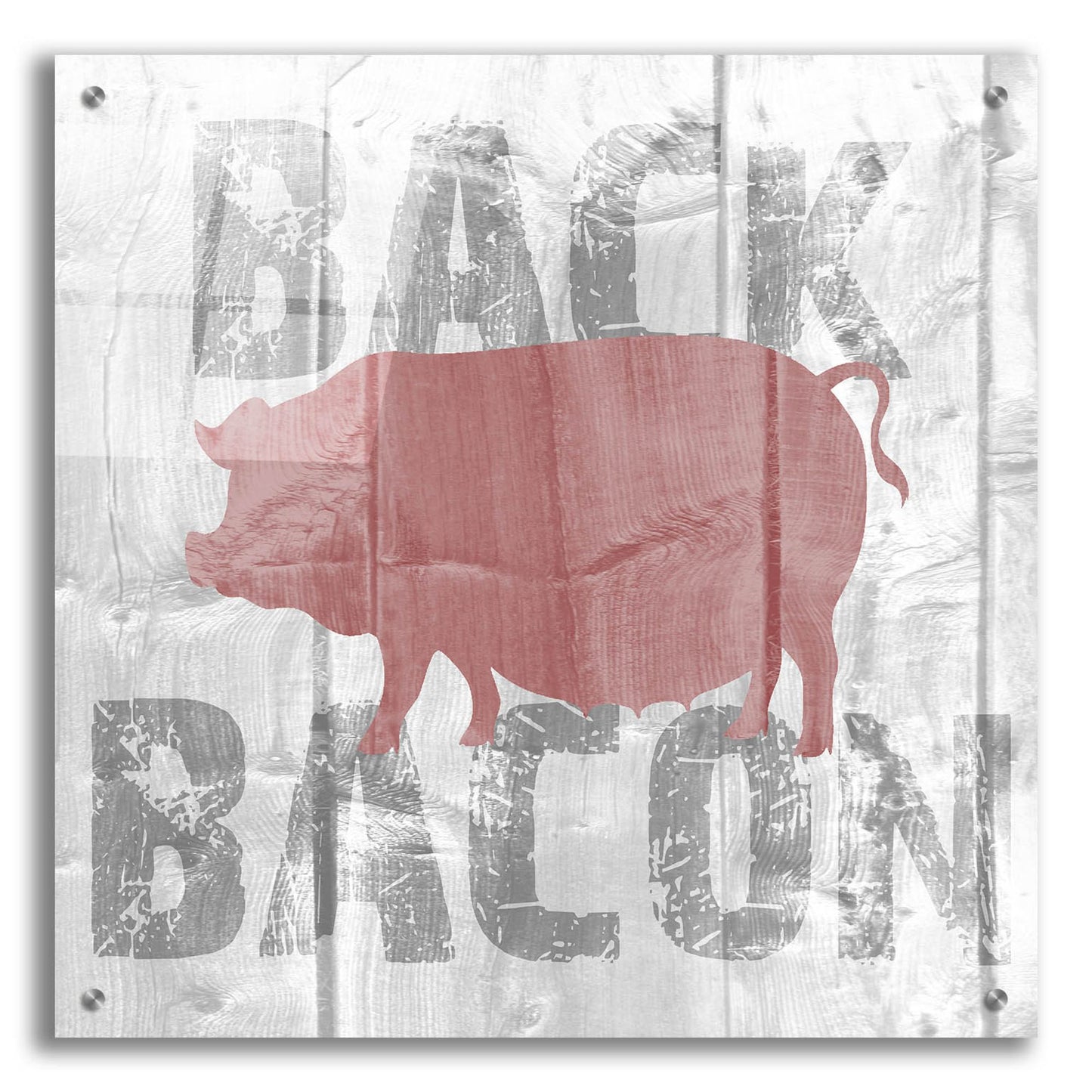 Epic Art ' Back Bacon' by Alicia Soave, Acrylic Glass Wall Art,24x24